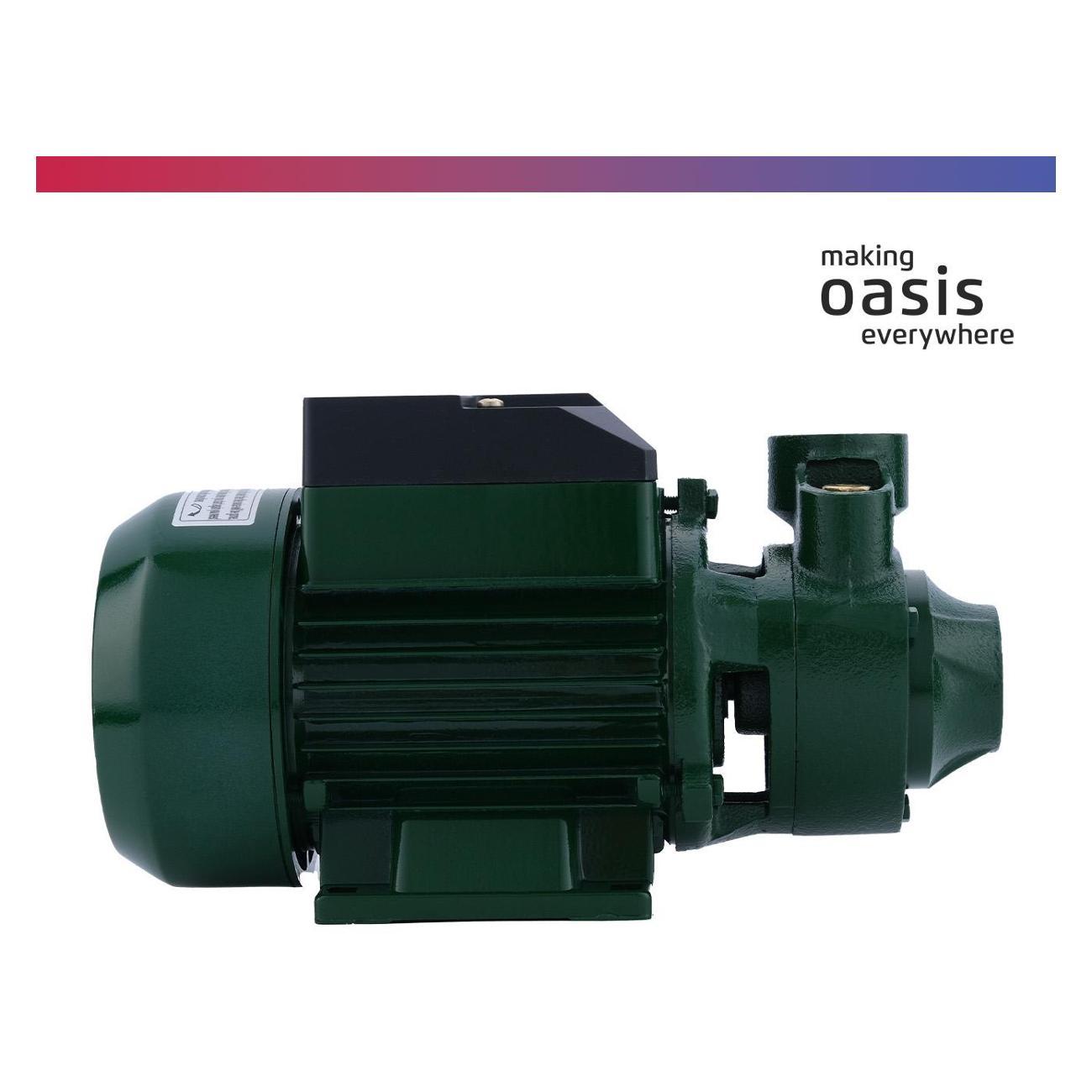 Насос поверхностный Oasis P-370V