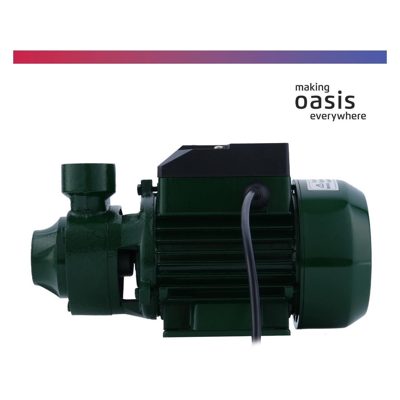 Насос поверхностный Oasis P-370V