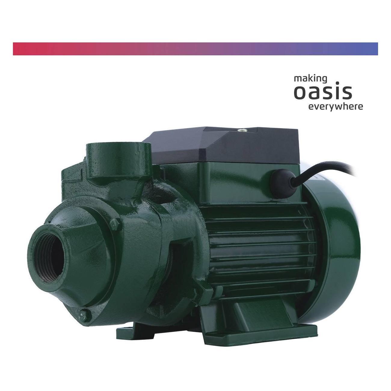 Насос поверхностный Oasis P-550V
