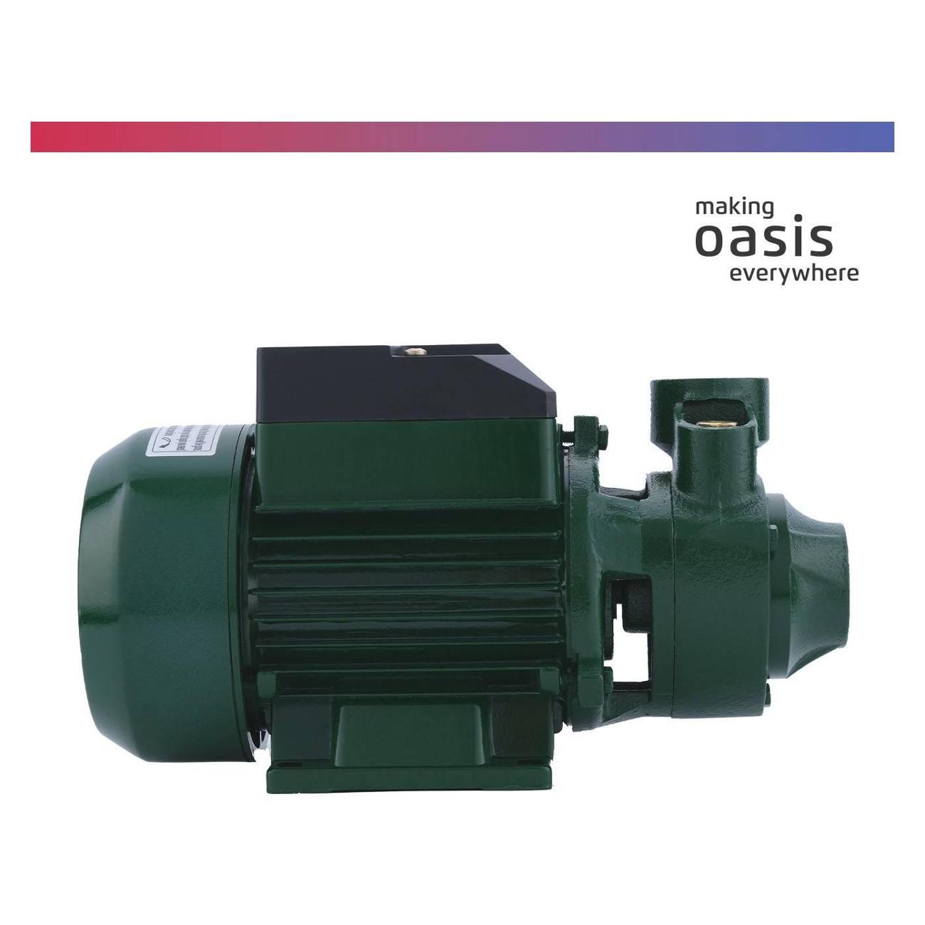 Насос поверхностный Oasis P-550V