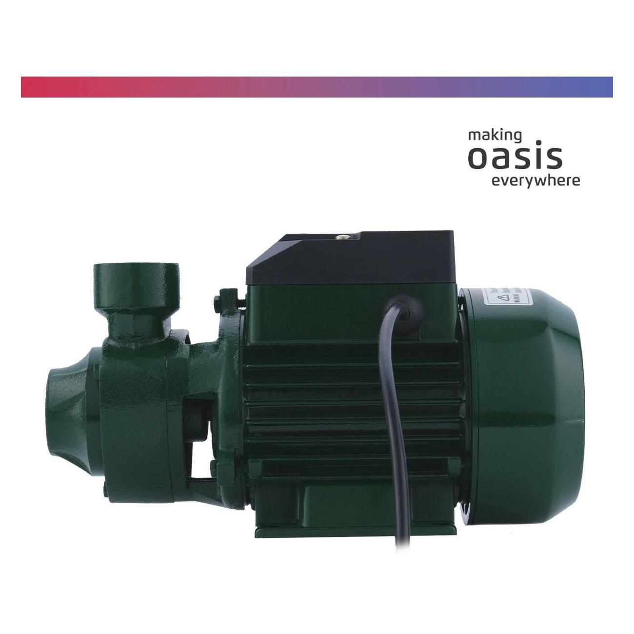 Насос поверхностный Oasis P-550V