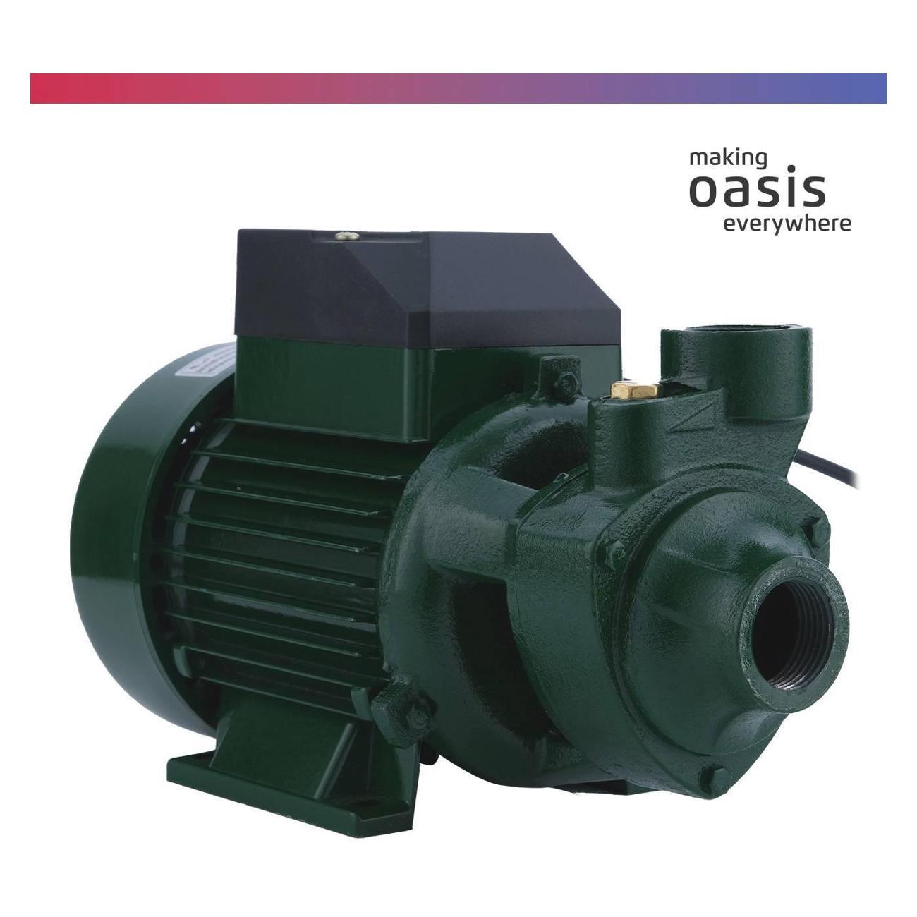 Насос поверхностный Oasis P-750V
