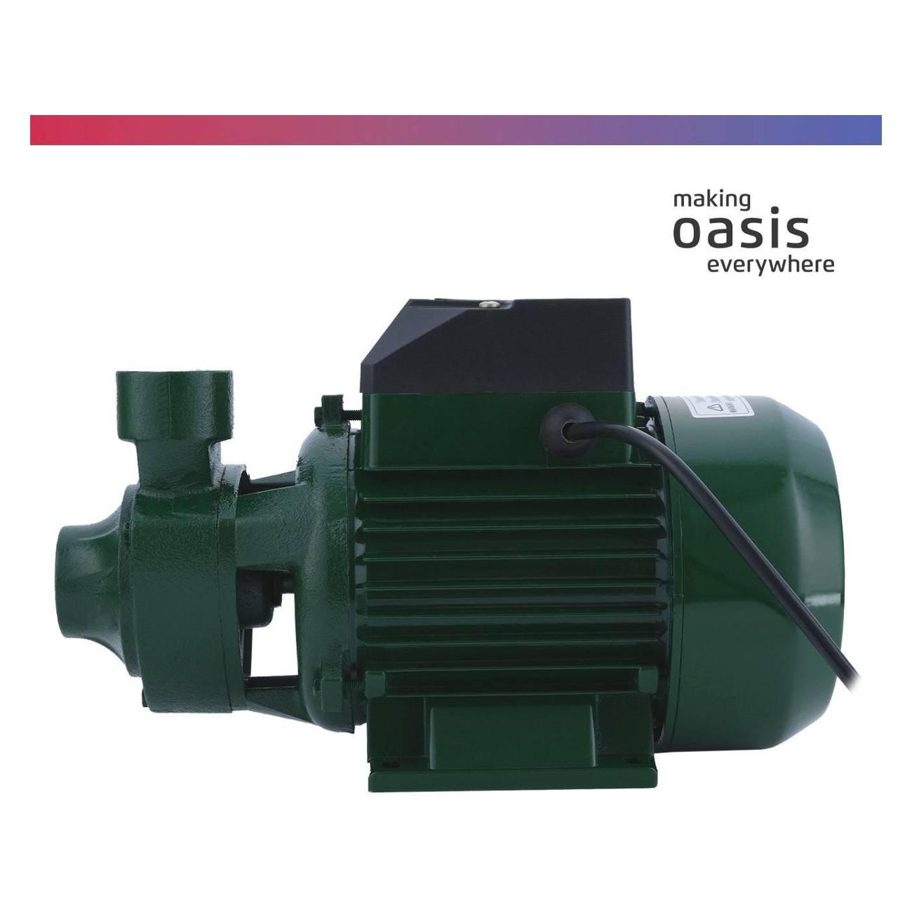 Насос поверхностный Oasis P-750V