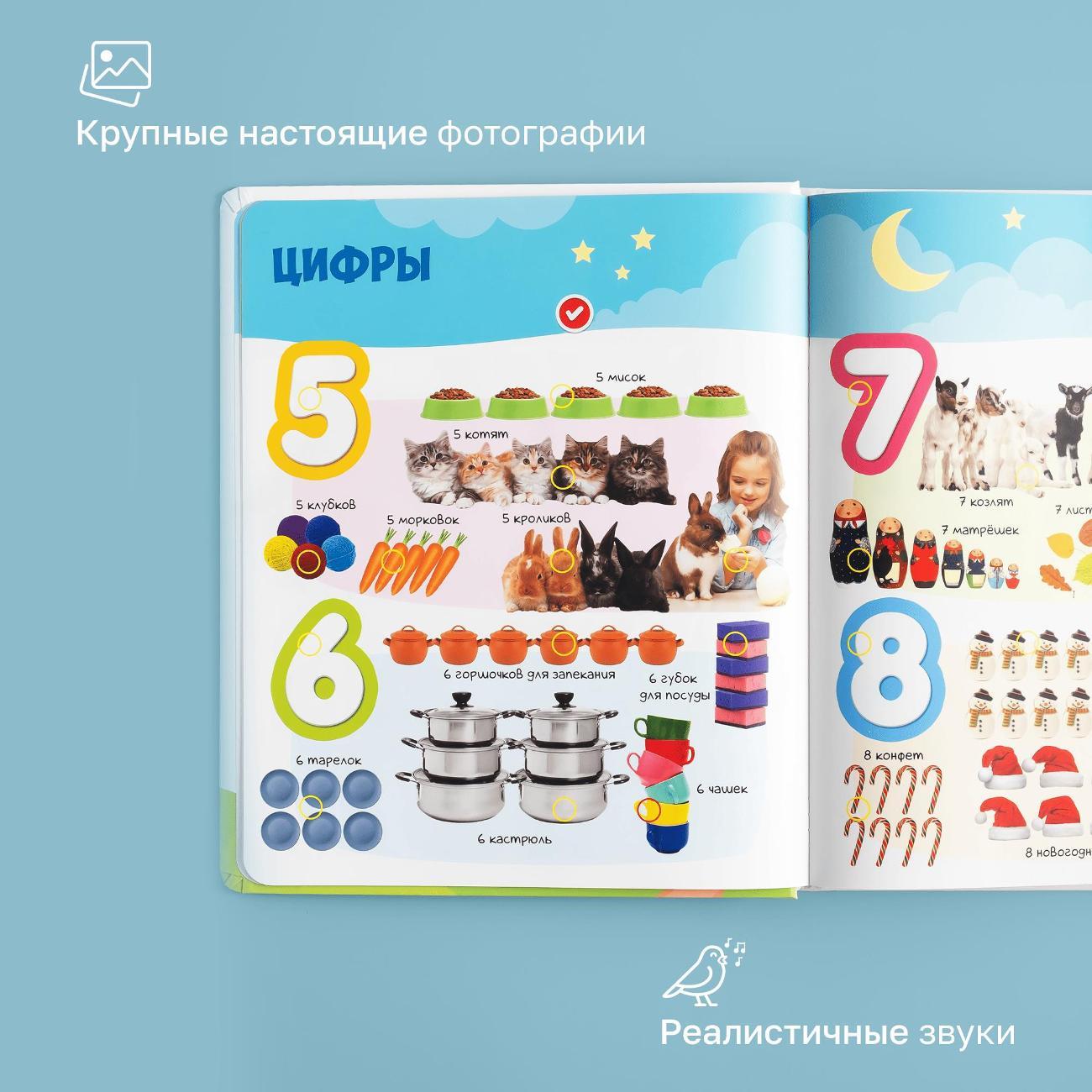 Развивающая игрушка BertToys Первые знания