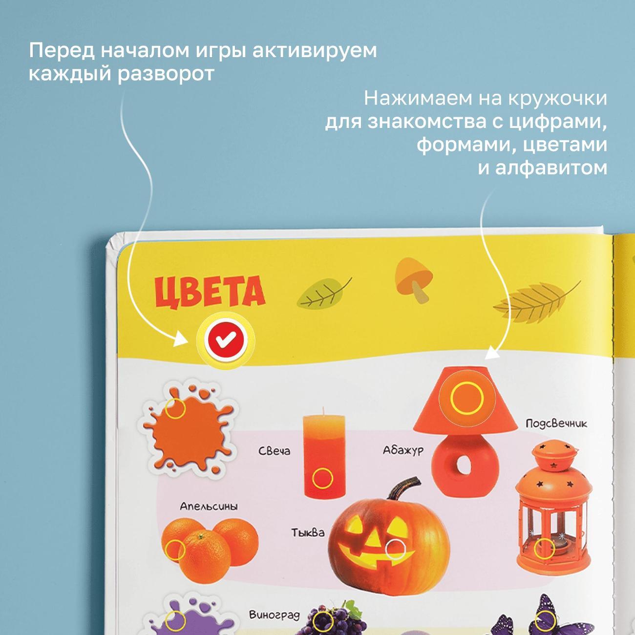 Развивающая игрушка BertToys Первые знания