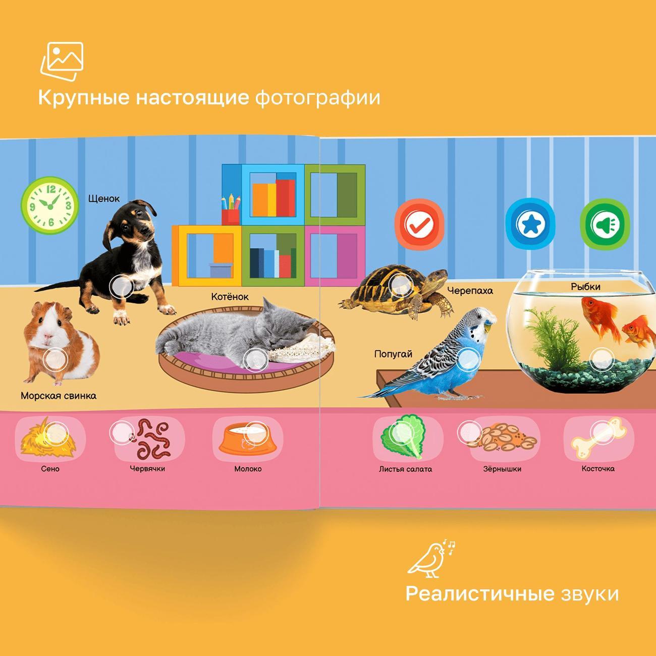 Развивающая игрушка BertToys Все о животных