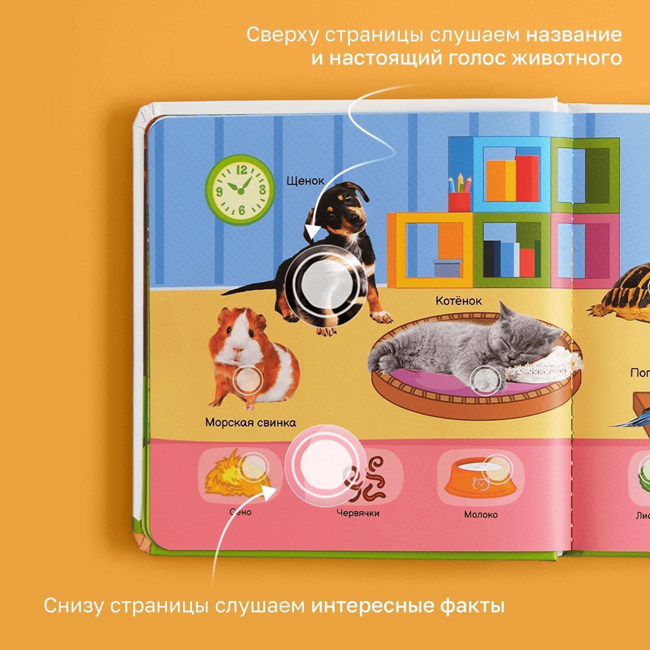 Развивающая игрушка BertToys Все о животных