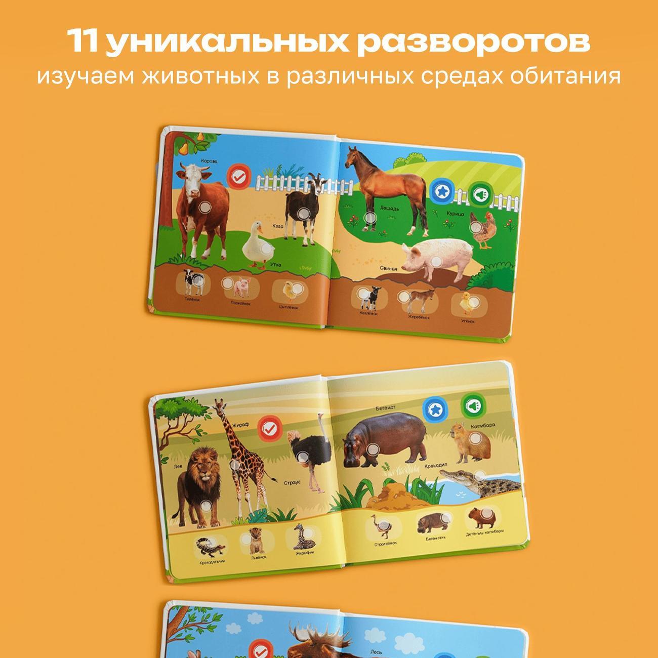 Развивающая игрушка BertToys Все о животных
