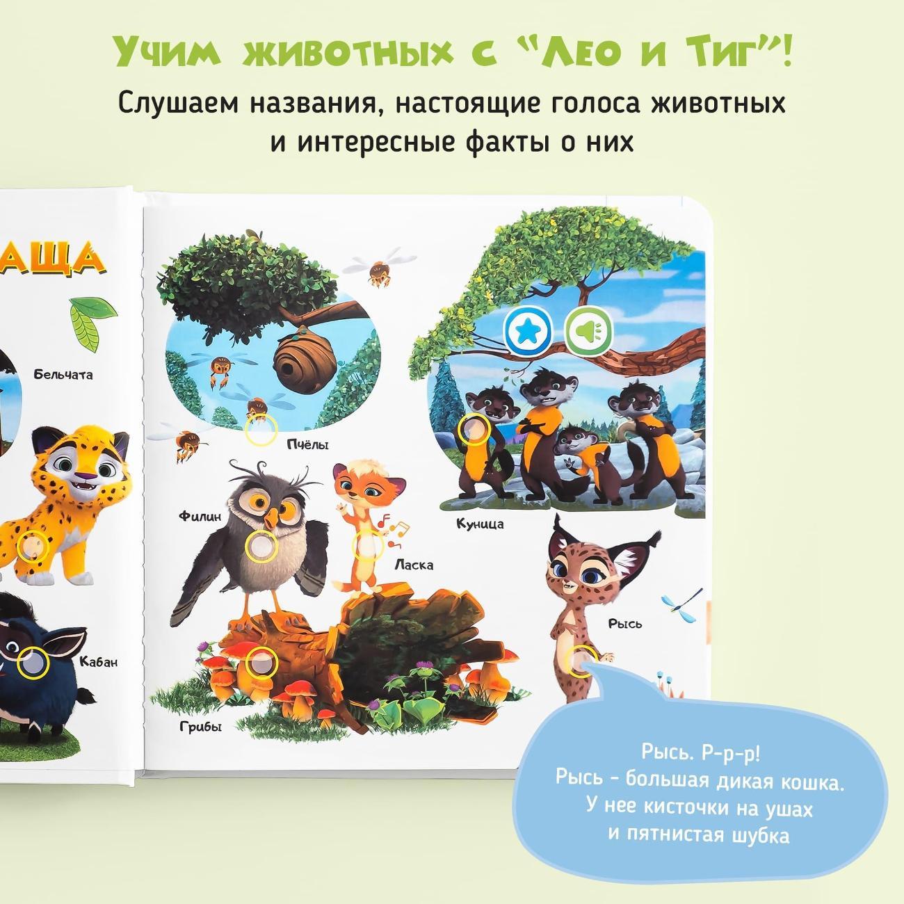 Развивающая игрушка BertToys Учимся с мультяшками