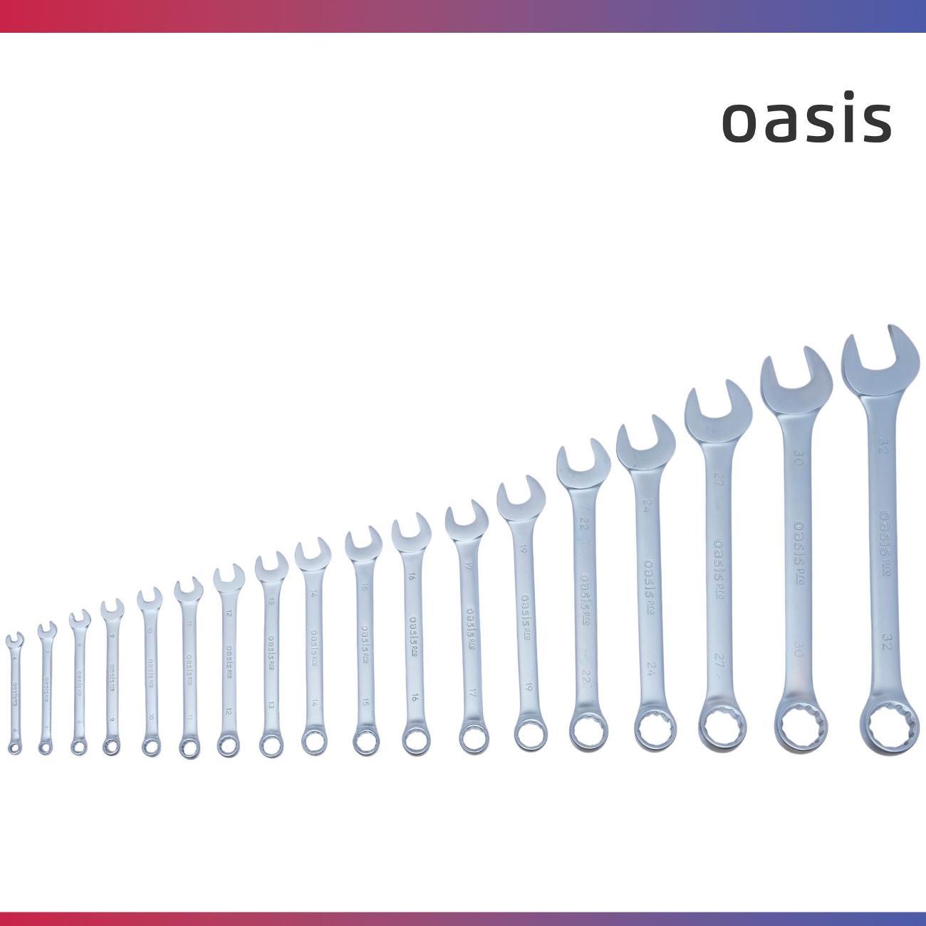 Набор ручного инструмента Oasis Pro комбинированных 18 шт. в сумке сатиновый хром