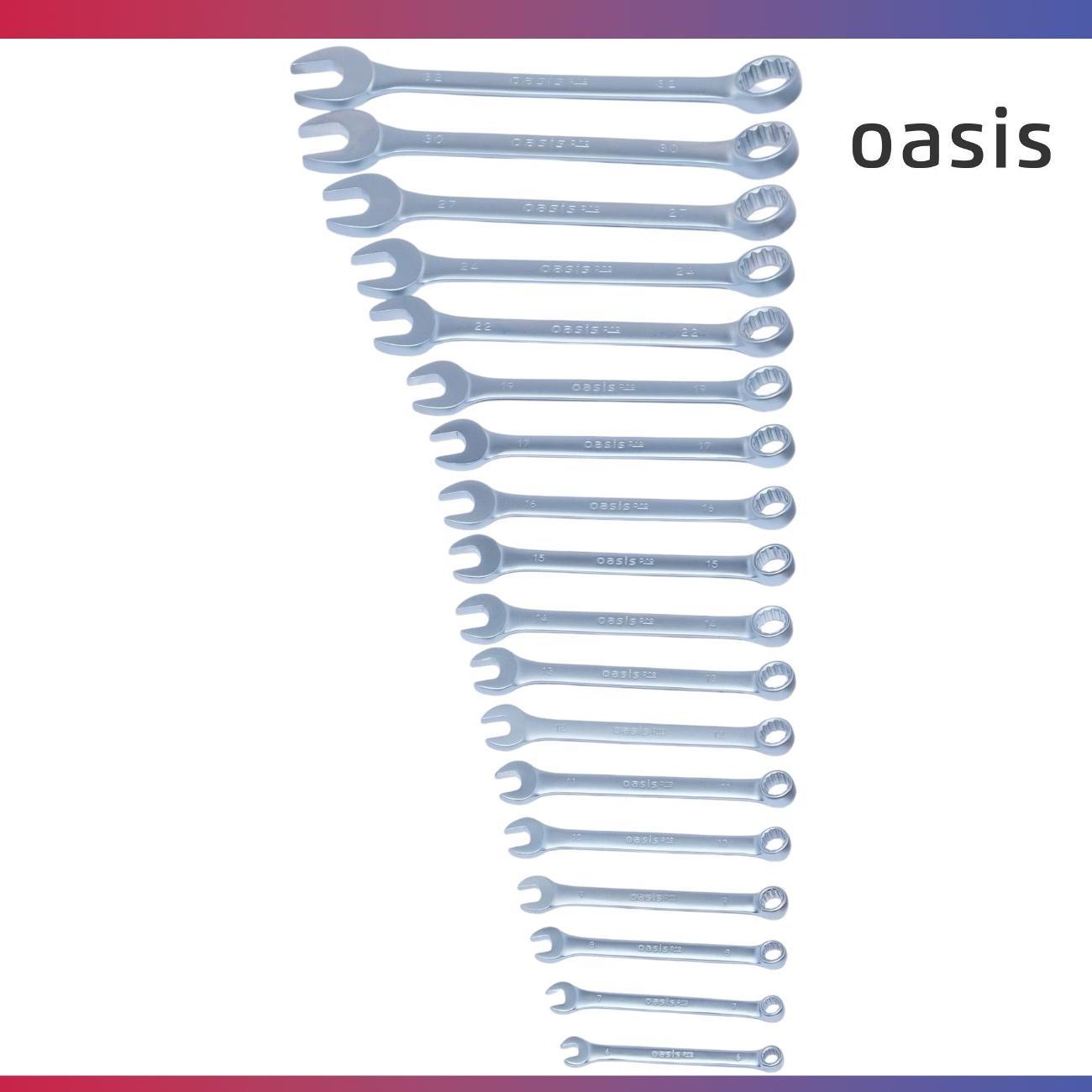 Набор ручного инструмента Oasis Pro комбинированных 18 шт. в сумке сатиновый хром