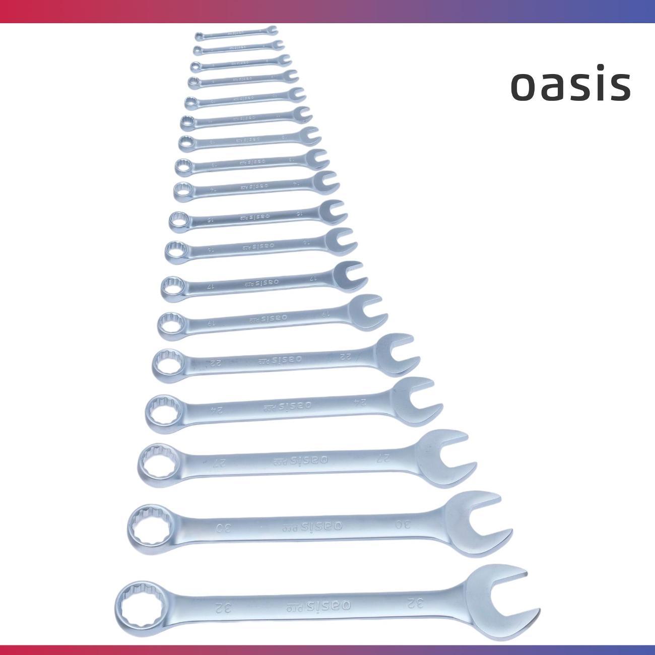 Набор ручного инструмента Oasis Pro комбинированных 18 шт. в сумке сатиновый хром