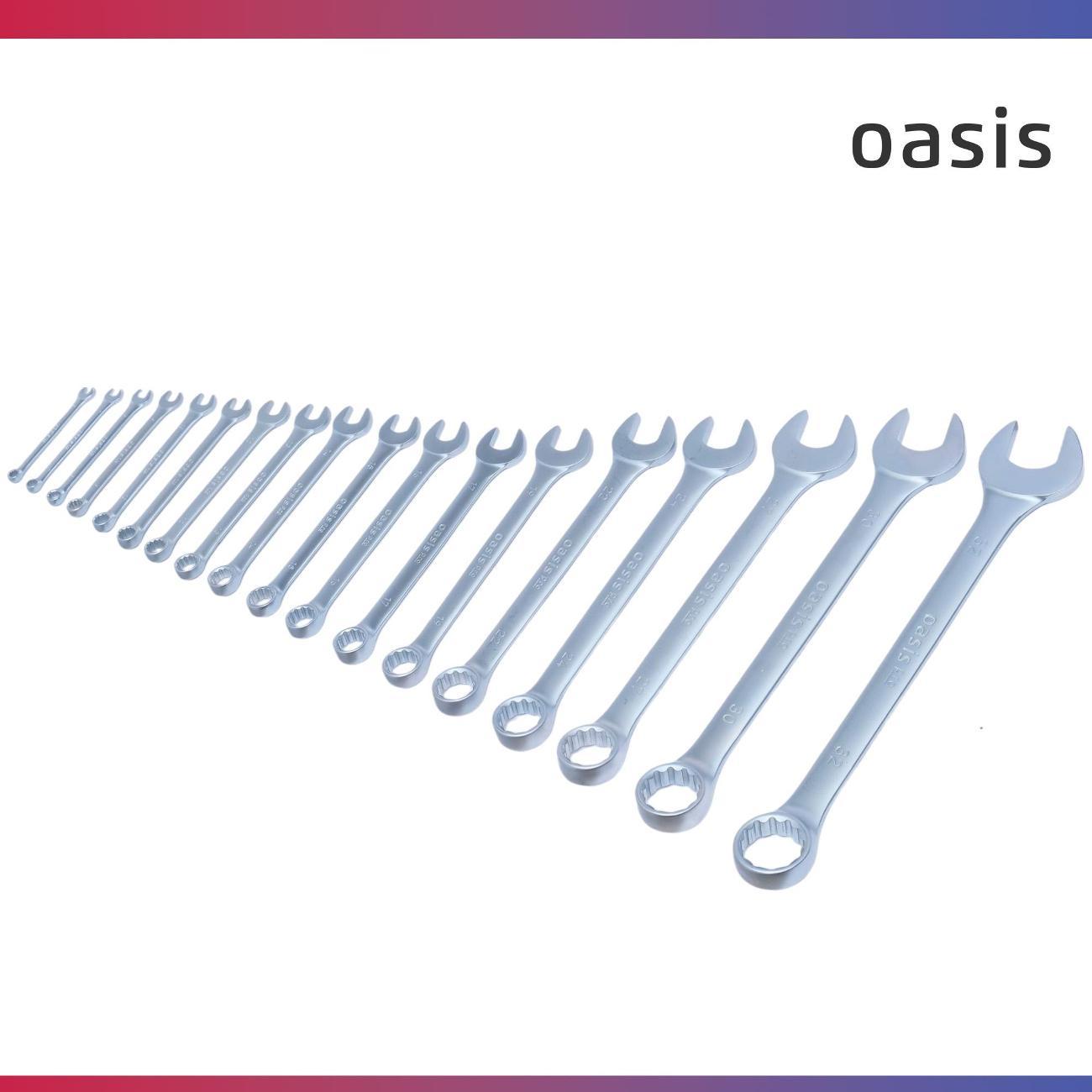 Набор ручного инструмента Oasis Pro комбинированных 18 шт. в сумке сатиновый хром