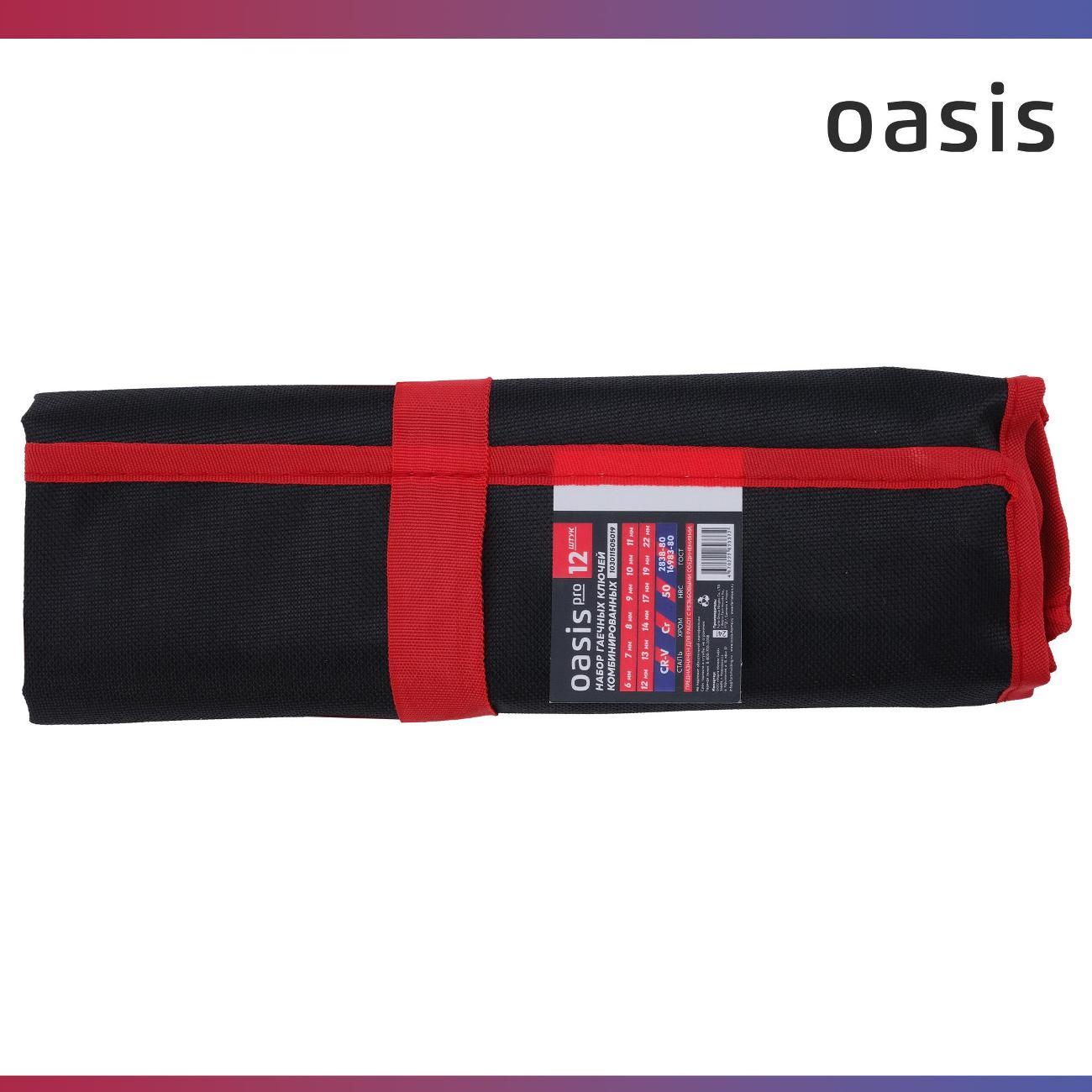 Набор ручного инструмента Oasis Pro комбинированных 12 шт. в сумке глянцевый хром, с