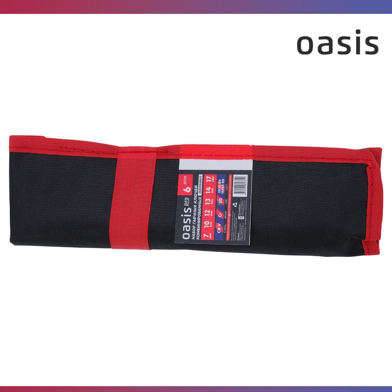 Набор ручного инструмента Oasis Pro комбинированных, 6 шт. в сумке глянцевый хром, с