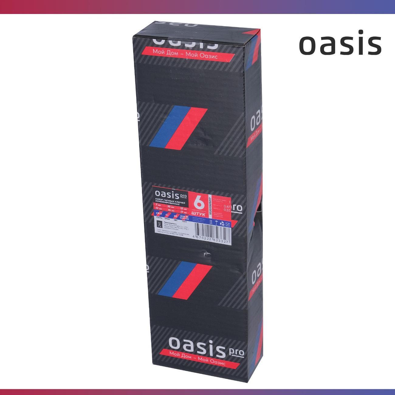 Набор ручного инструмента Oasis Pro комбинированных, 6 шт. в сумке глянцевый хром, с