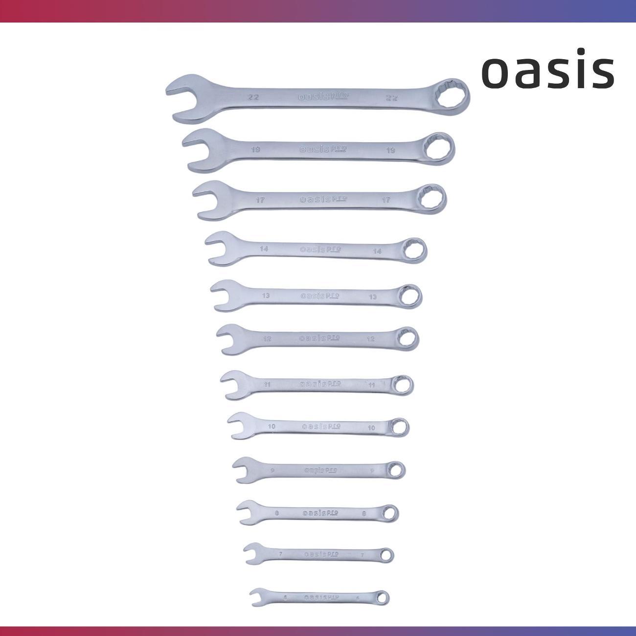 Набор ручного инструмента Oasis Pro комбинированных 12 шт. в холдере сатиновый хром