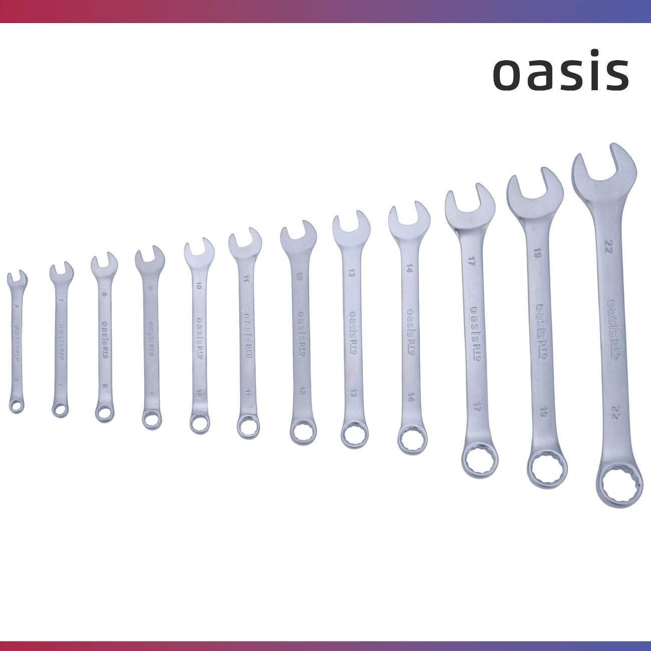 Набор ручного инструмента Oasis Pro комбинированных 12 шт. в холдере сатиновый хром