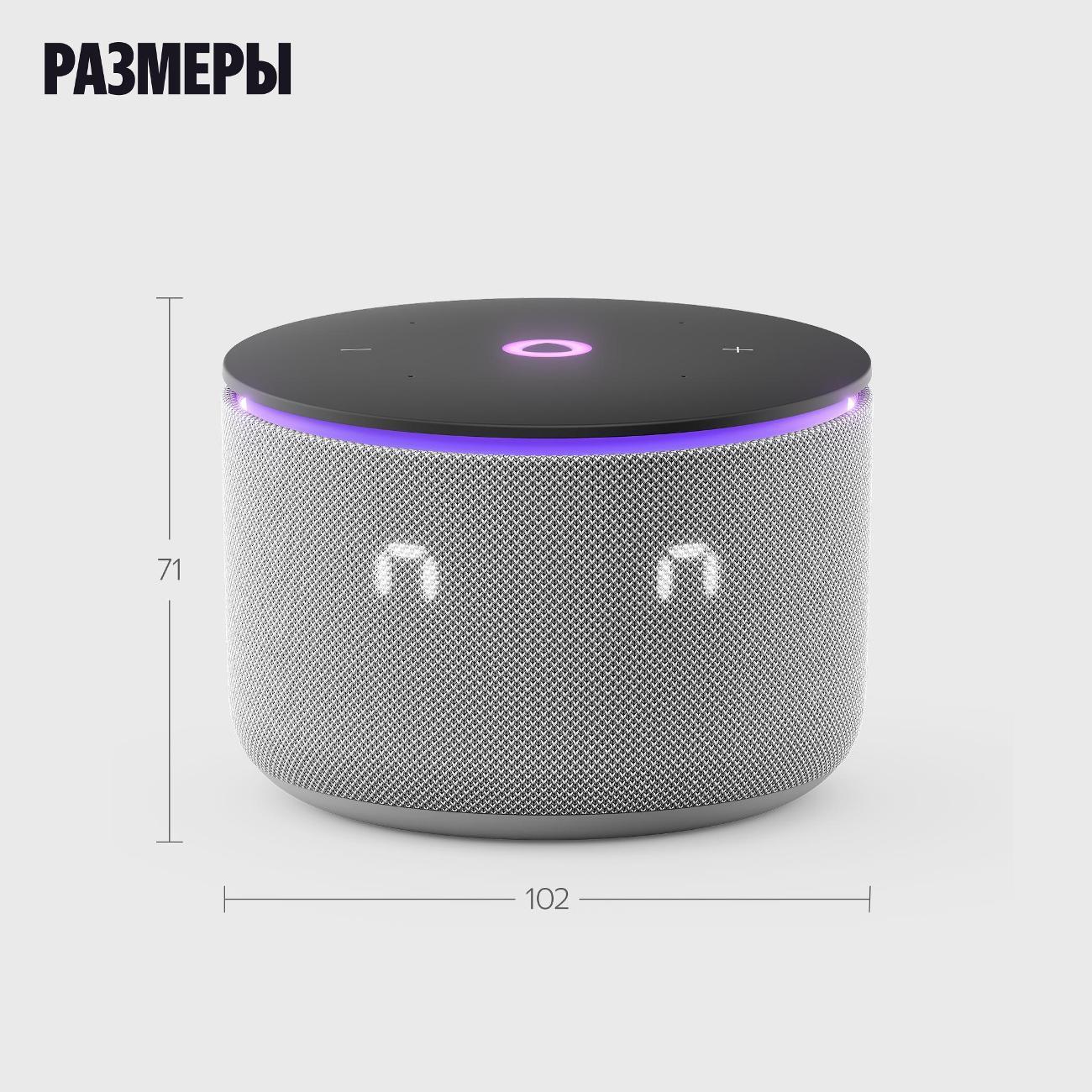 Умная колонка Яндекс Станция Мини 3 Про с Алисой серая