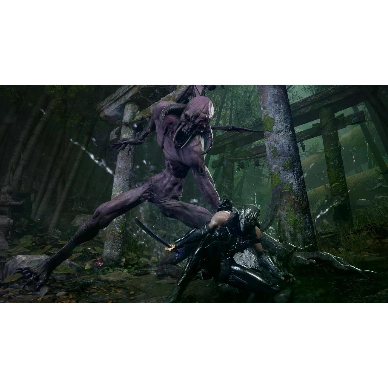 PS5 игра Team Ninja Gaiden 4