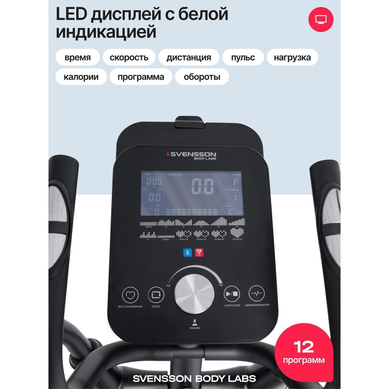 Эллипсоид Svensson Body Labs FORGE