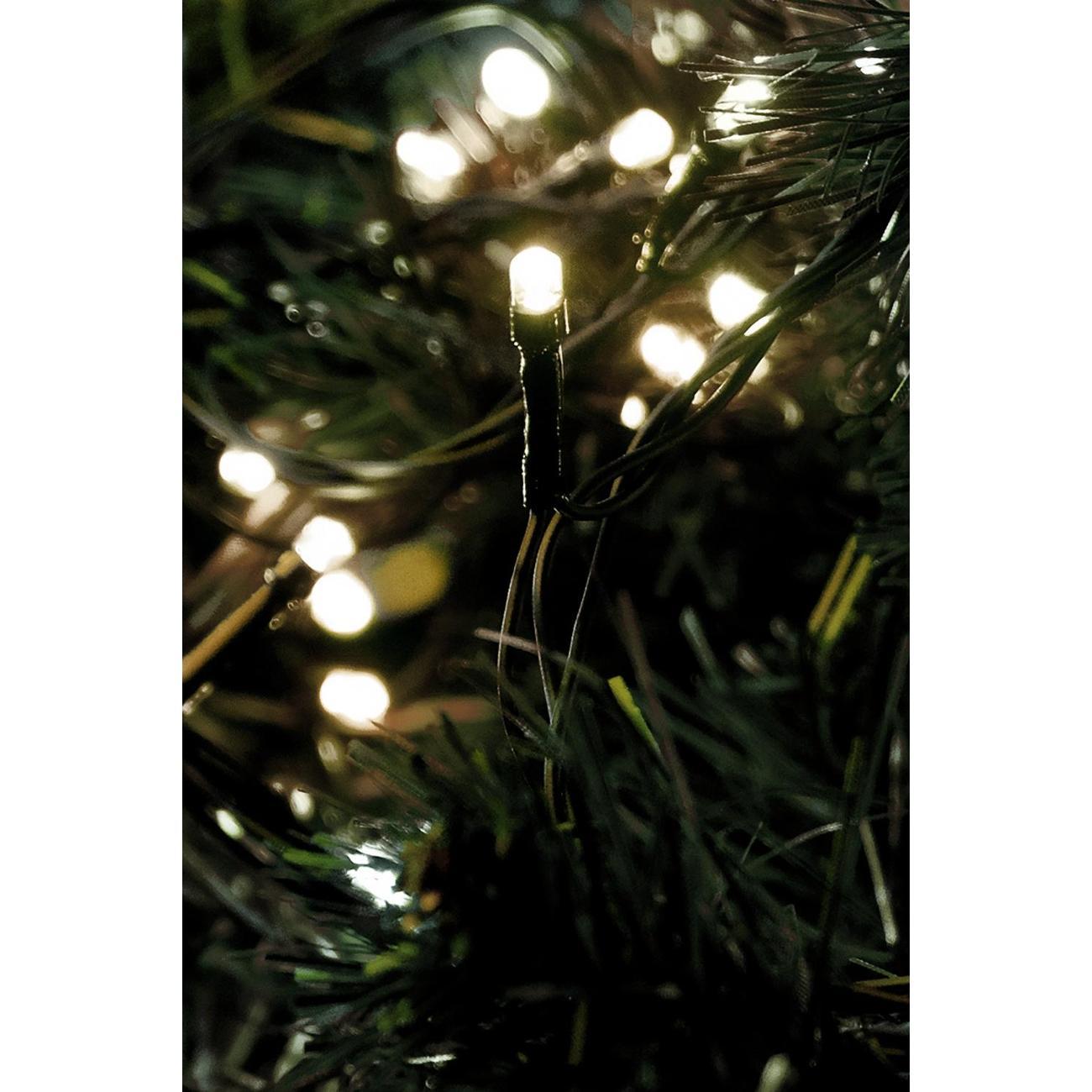 Электрическая гирлянда SHLights LD100C-GWW фото