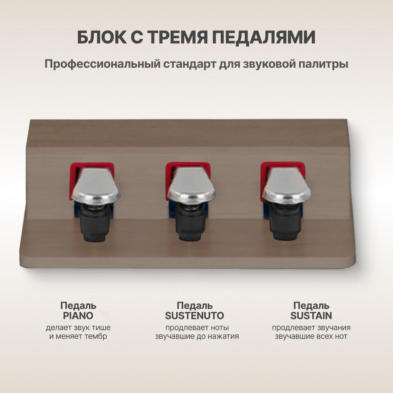 Цифровое пианино Tesler STZ-8815 SMOKY дуб