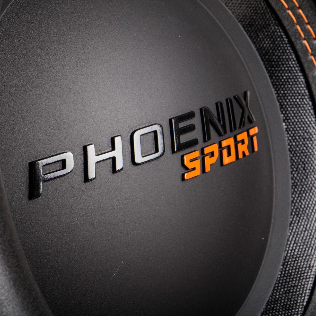 Автомобильный сабвуфер активный DL Audio Phoenix Sport 12