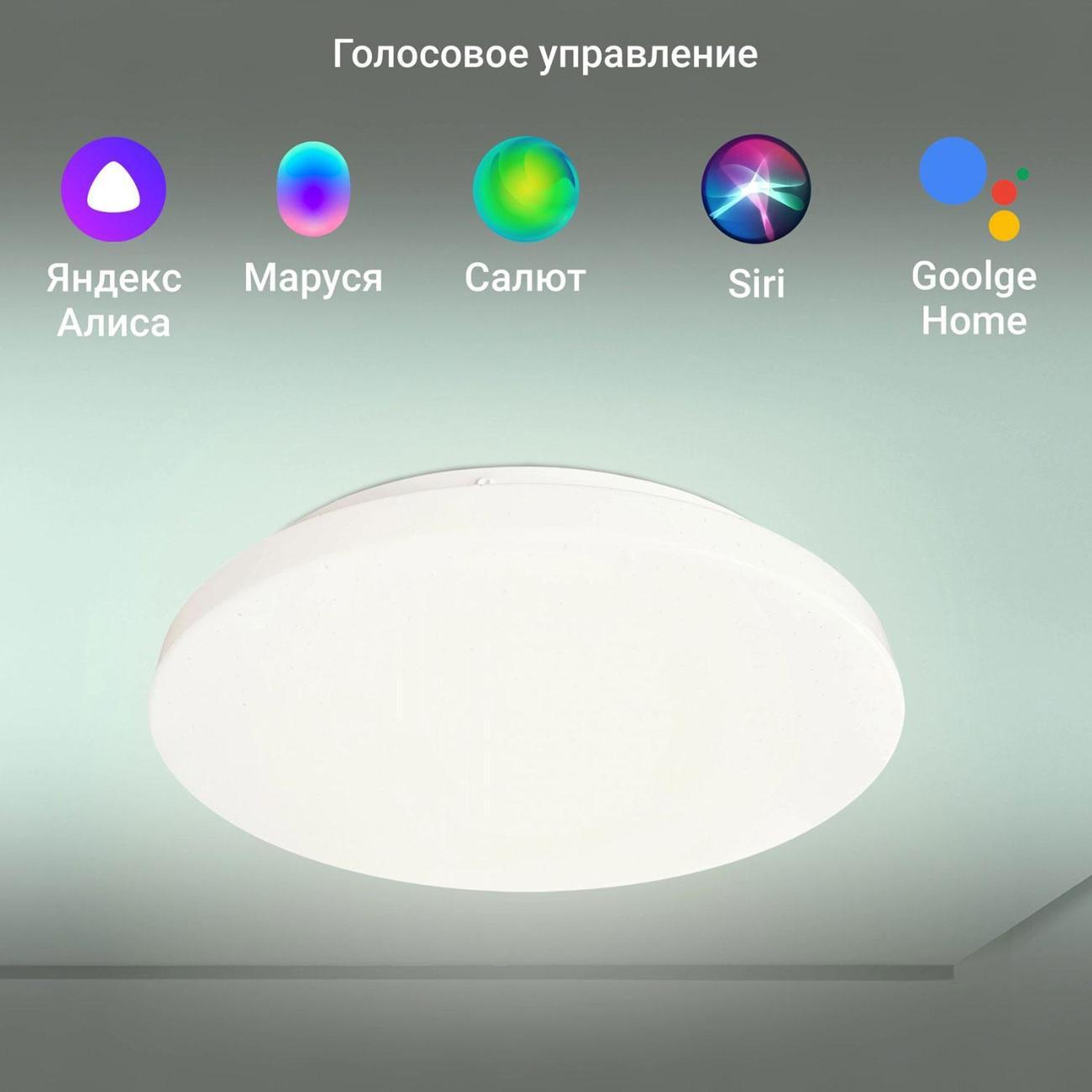 Умный светильник Digma TopLight TL25, потолоч., белый