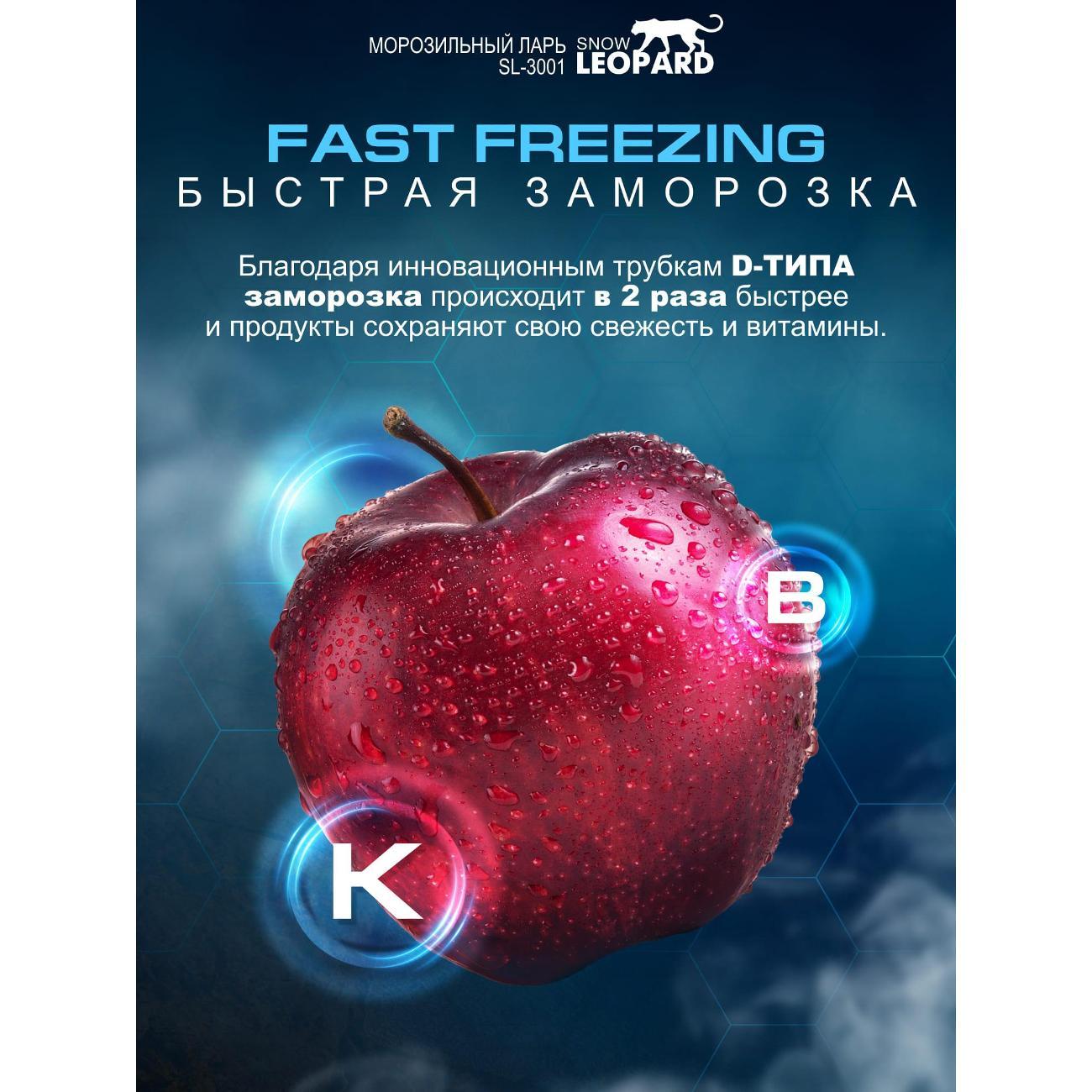 Морозильный ларь SNOW LEOPARD SL-3001