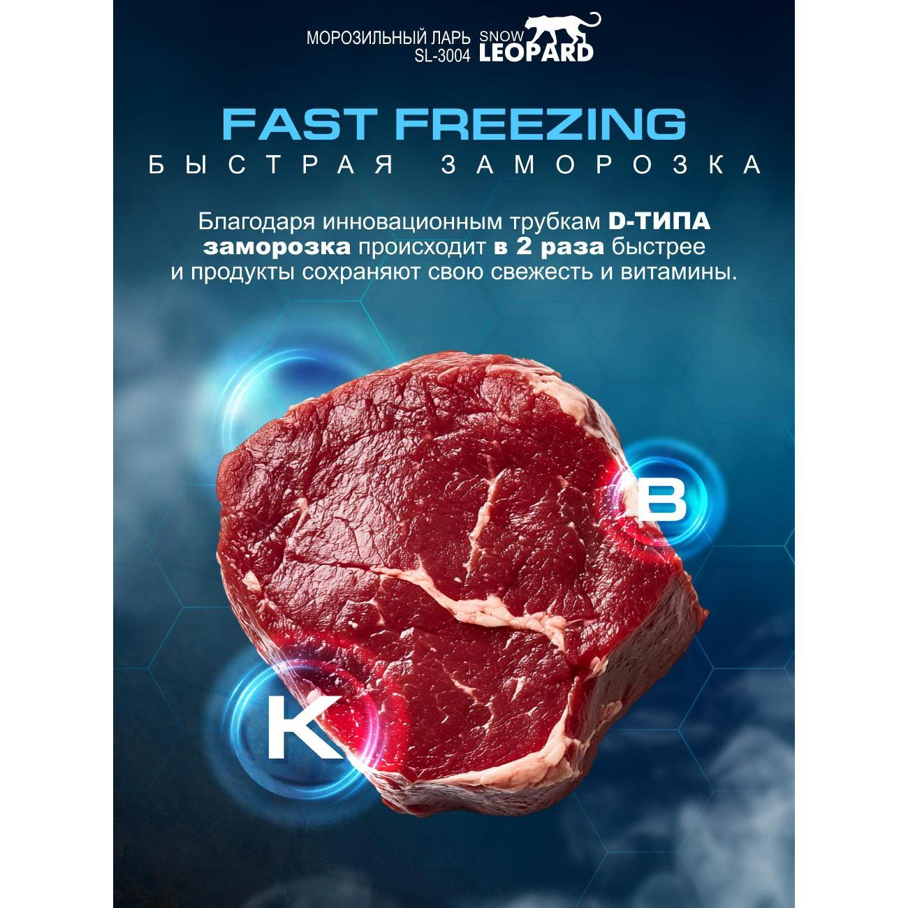 Морозильный ларь SNOW LEOPARD SL-3004