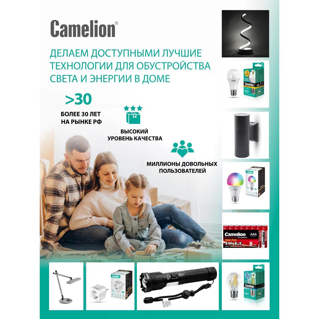 Набор новогодних украшений, игрушек Camelion LGT-001