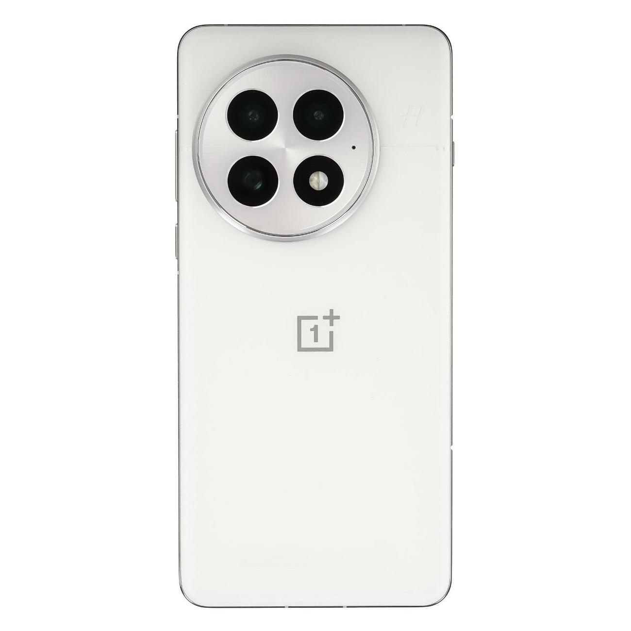 Смартфон OnePlus 13 12/256GB, Global, Arctic Dawn