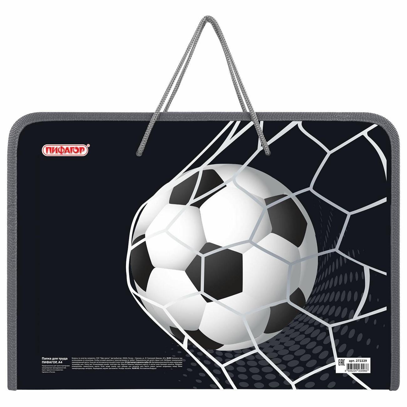 Папка Пифагор С ручками А4 мяч в сетке