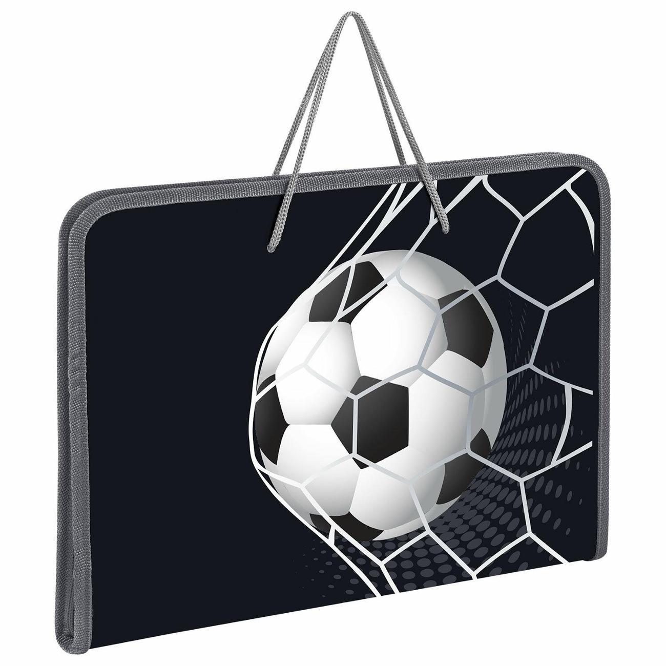 Папка Пифагор С ручками А4 мяч в сетке