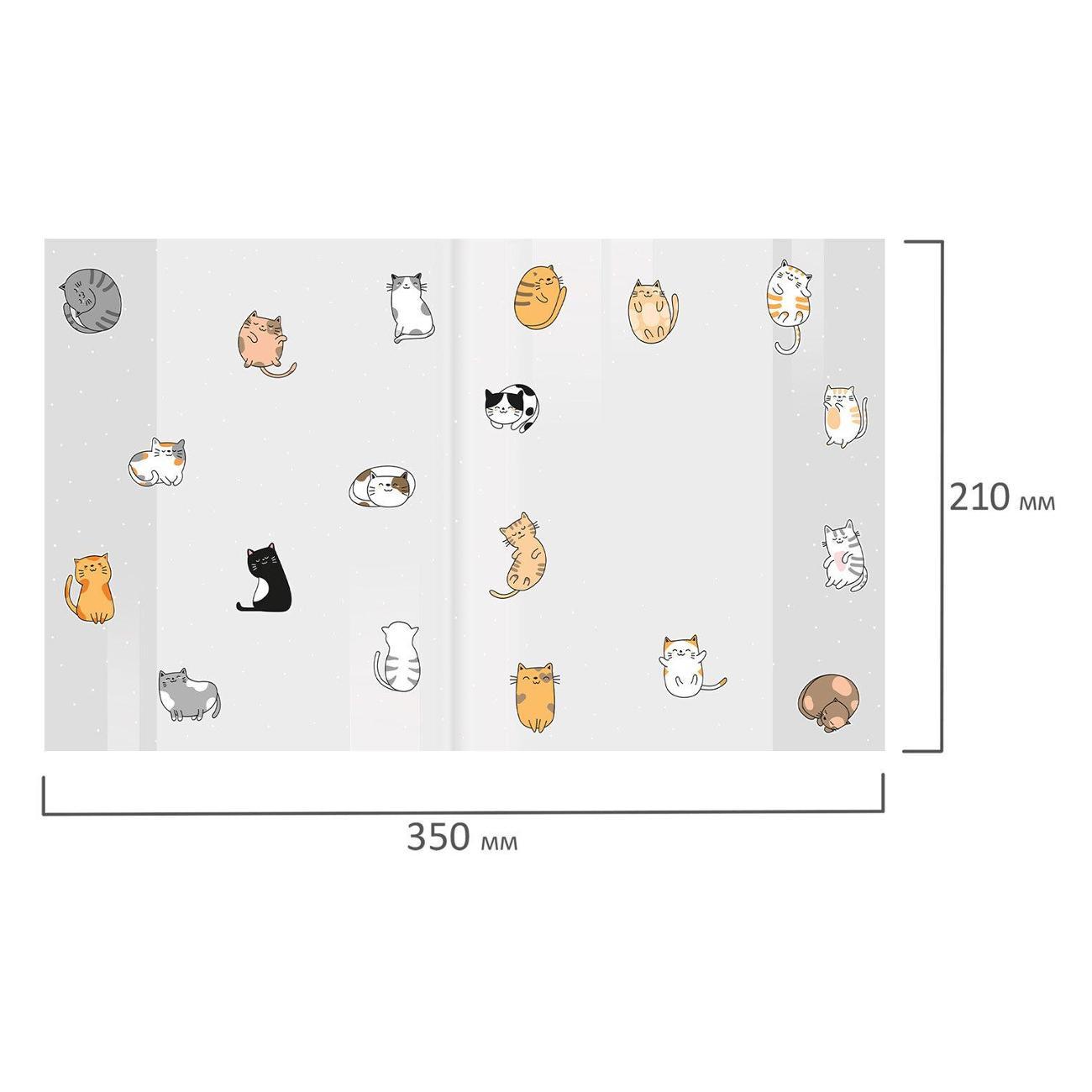 Обложка для книги FUNSTER ПП д/тетр и дн 10шт 210*350мм CATS