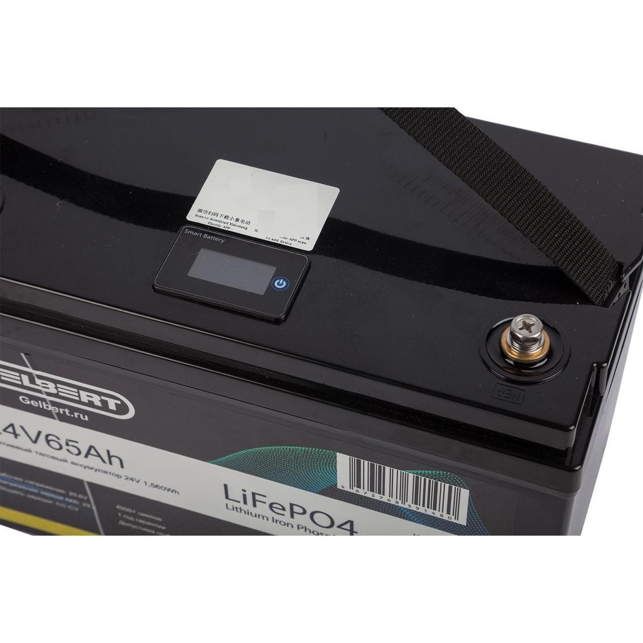Тяговая аккумуляторная батарея Gelbert LiFePO4 (24V/65Ah/65A/1,560Wh)