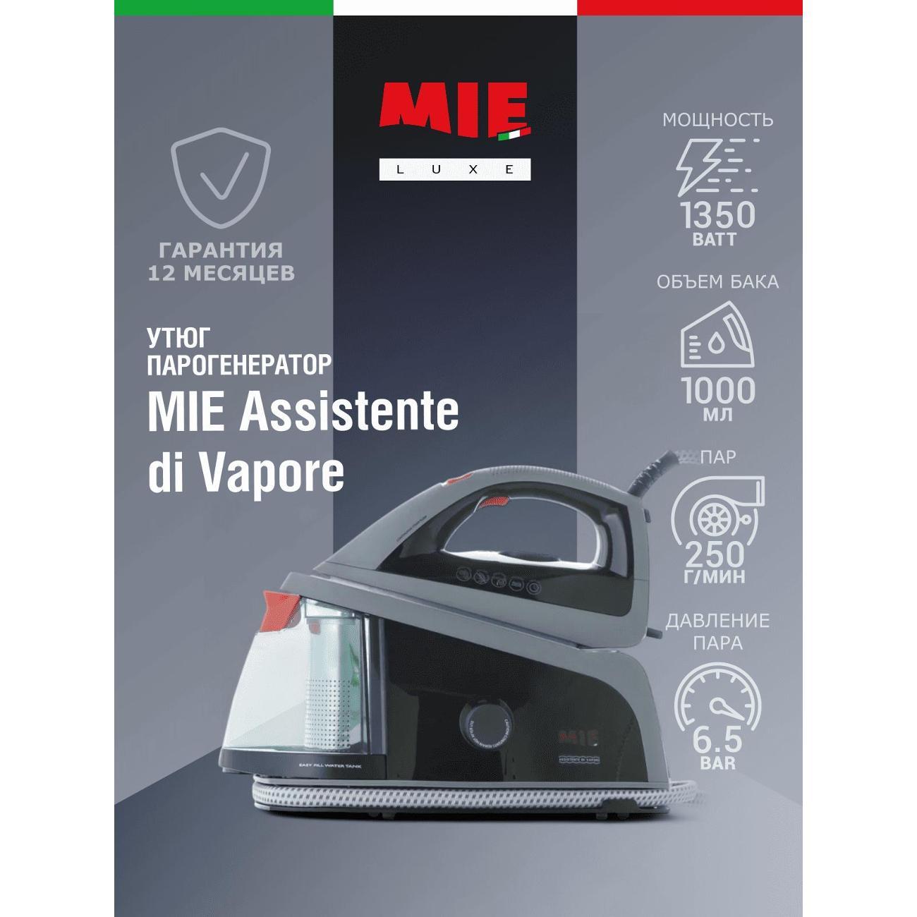 Парогенератор Mie Assistente Di Vapore Silver фото