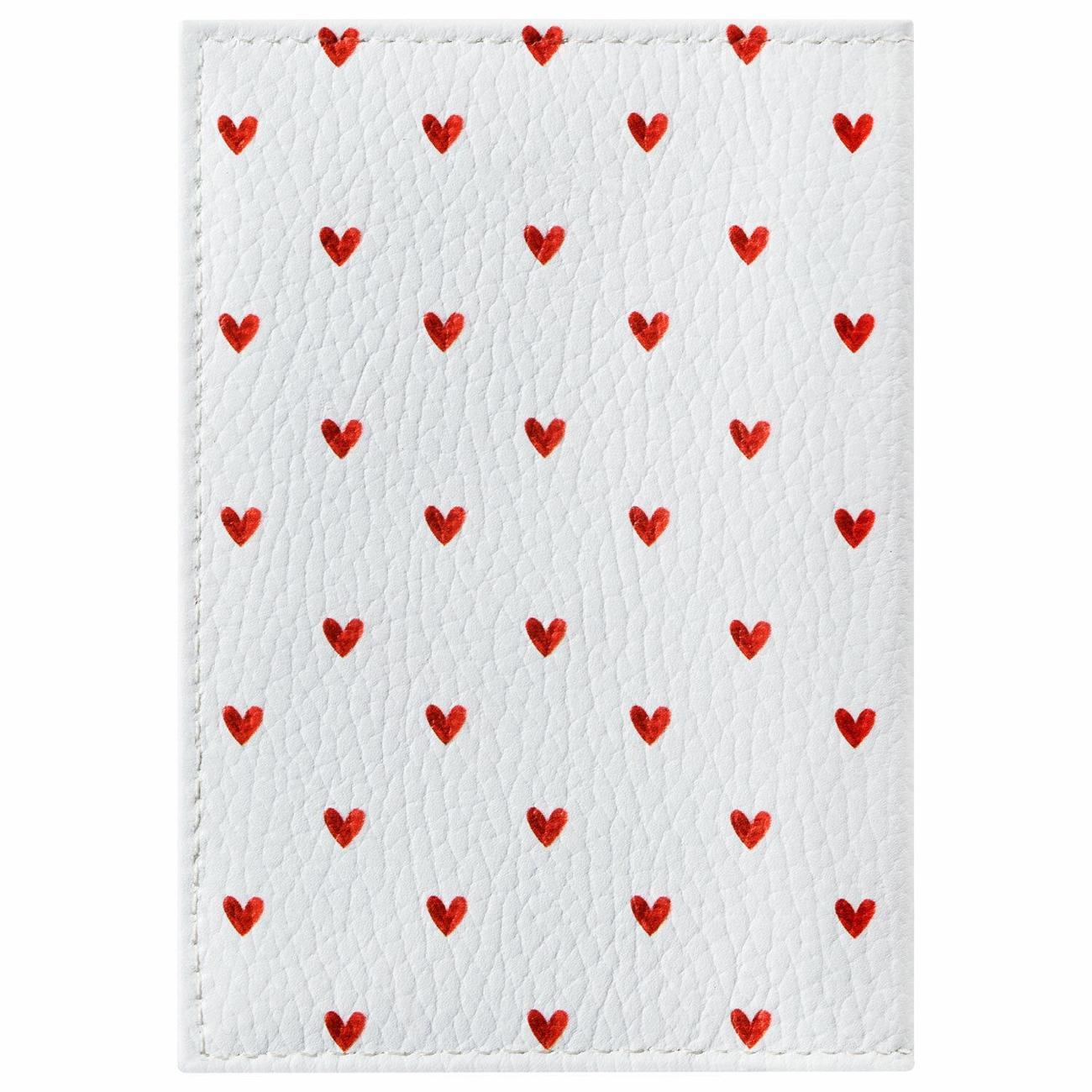 Обложка для документов Brauberg 238866