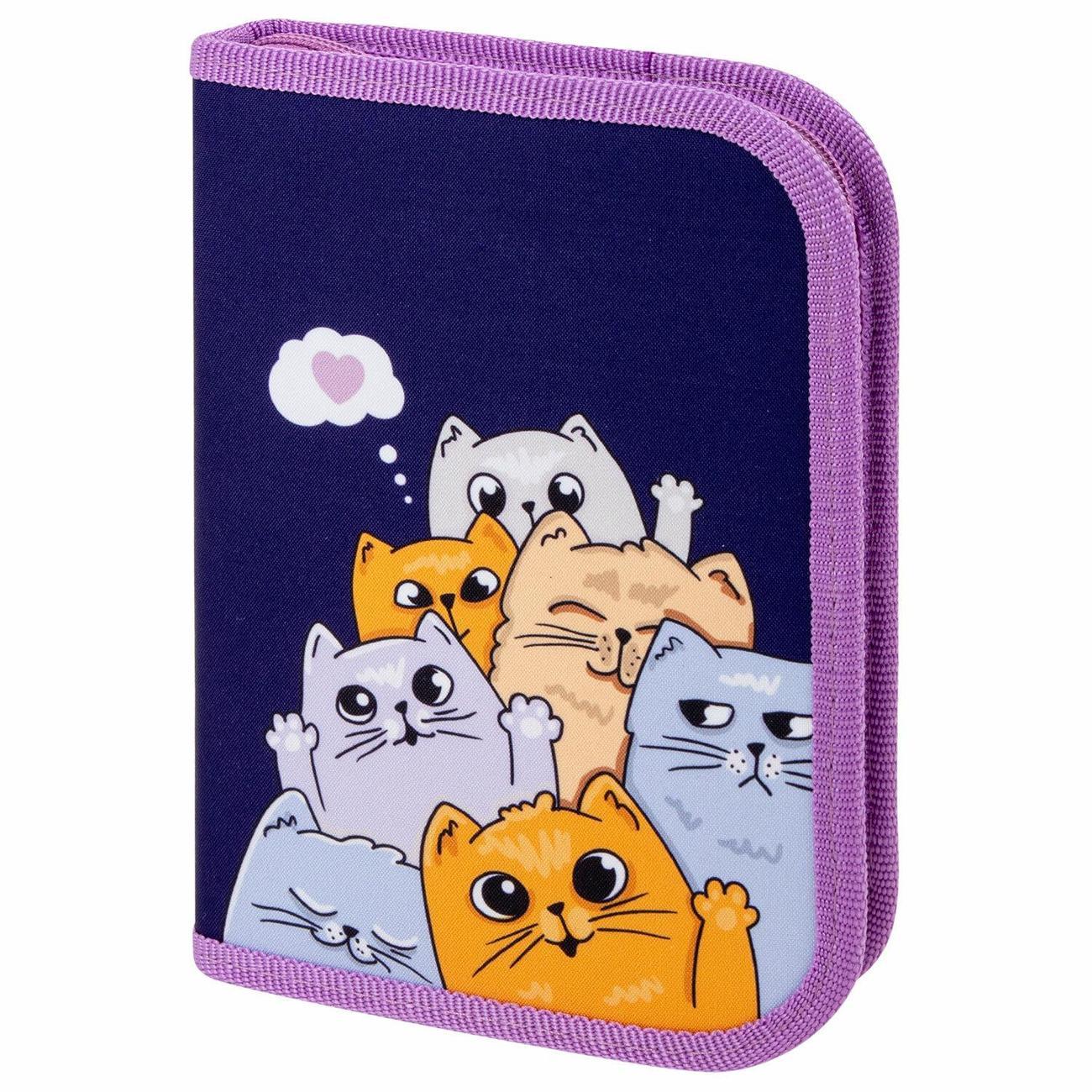 Пенал Пифагор 272291