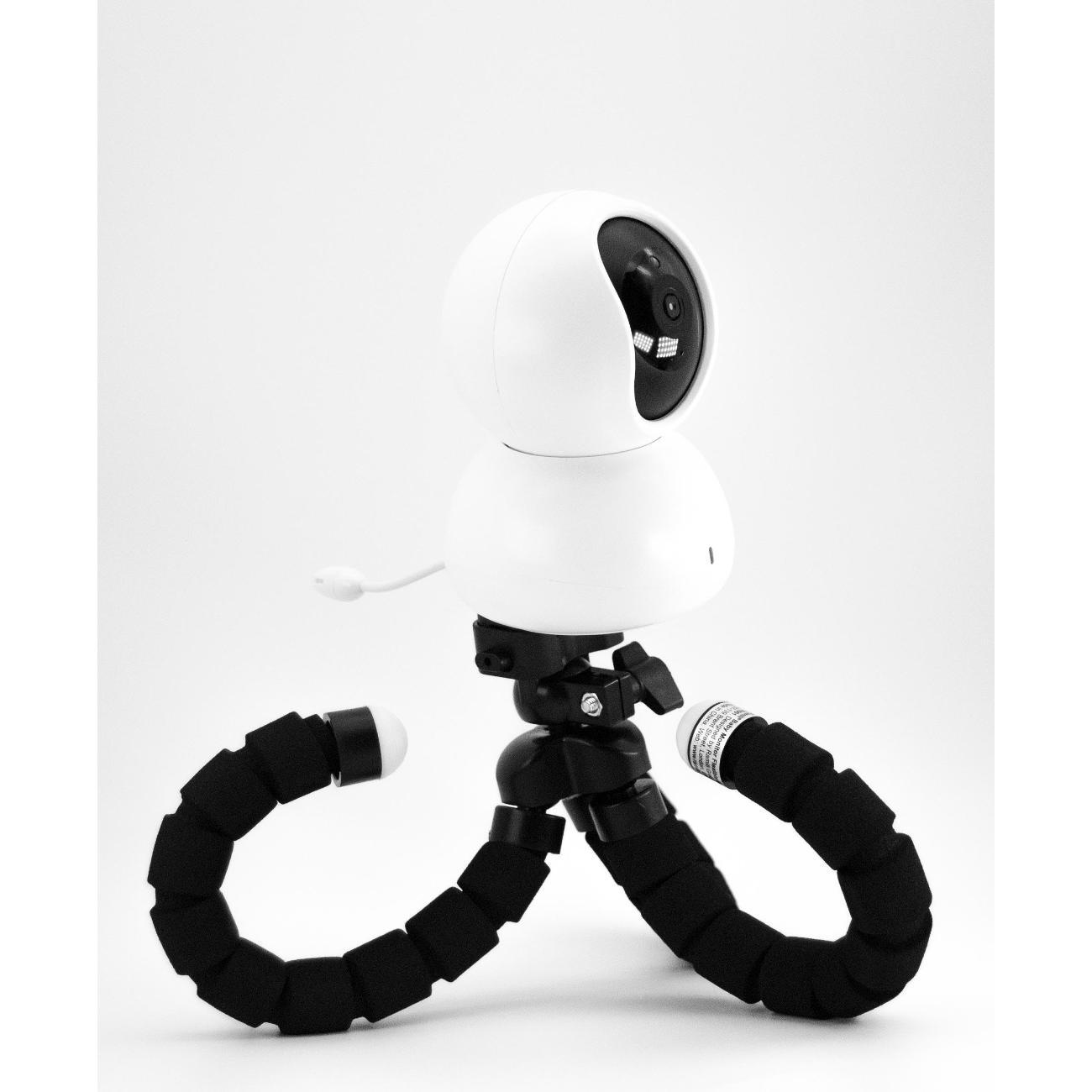 Видеоняня Ramili TR001