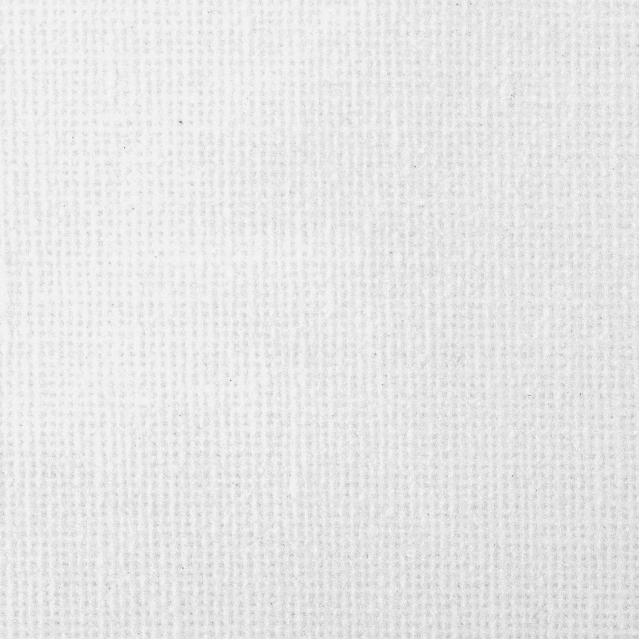 Холст Brauberg 192661