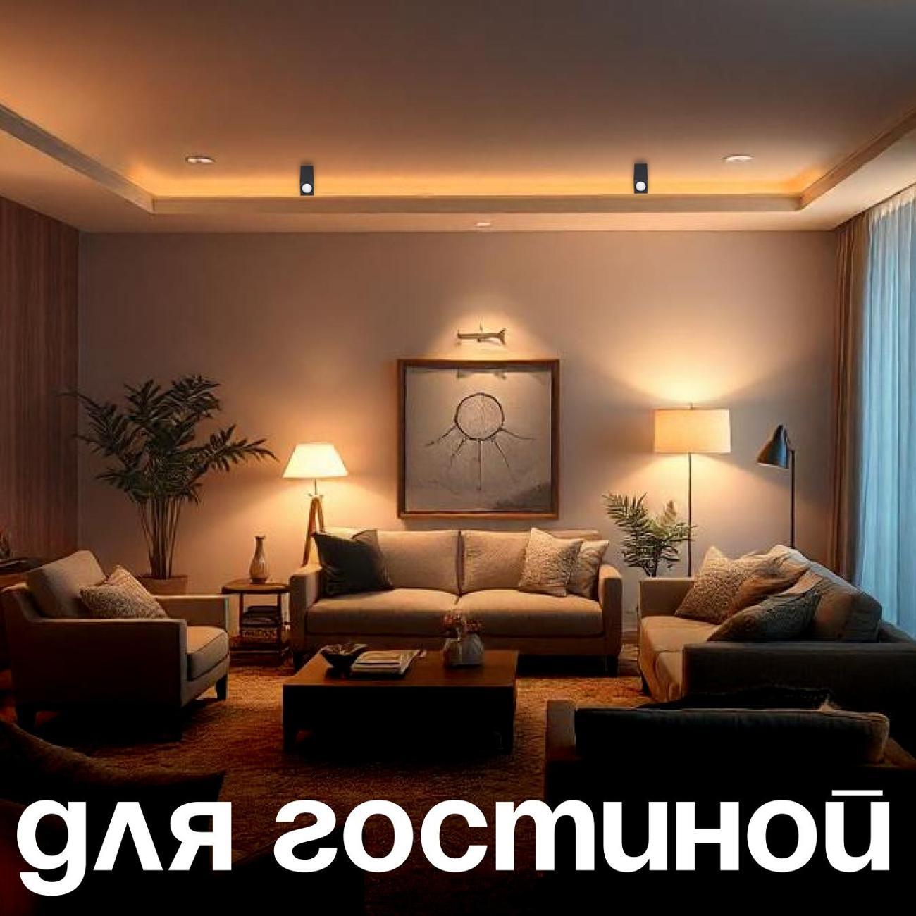 Светильник трековый, спот Lucia Tucci LTP-C004-01GU10-B