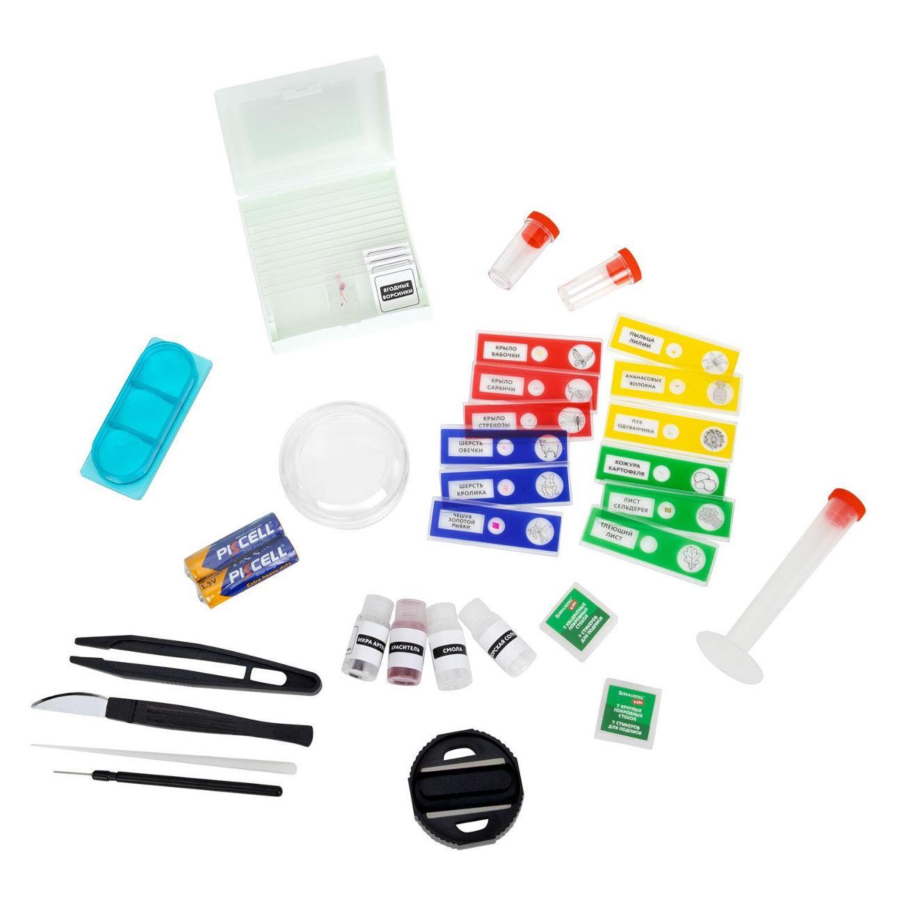 Микроскоп Brauberg 391399