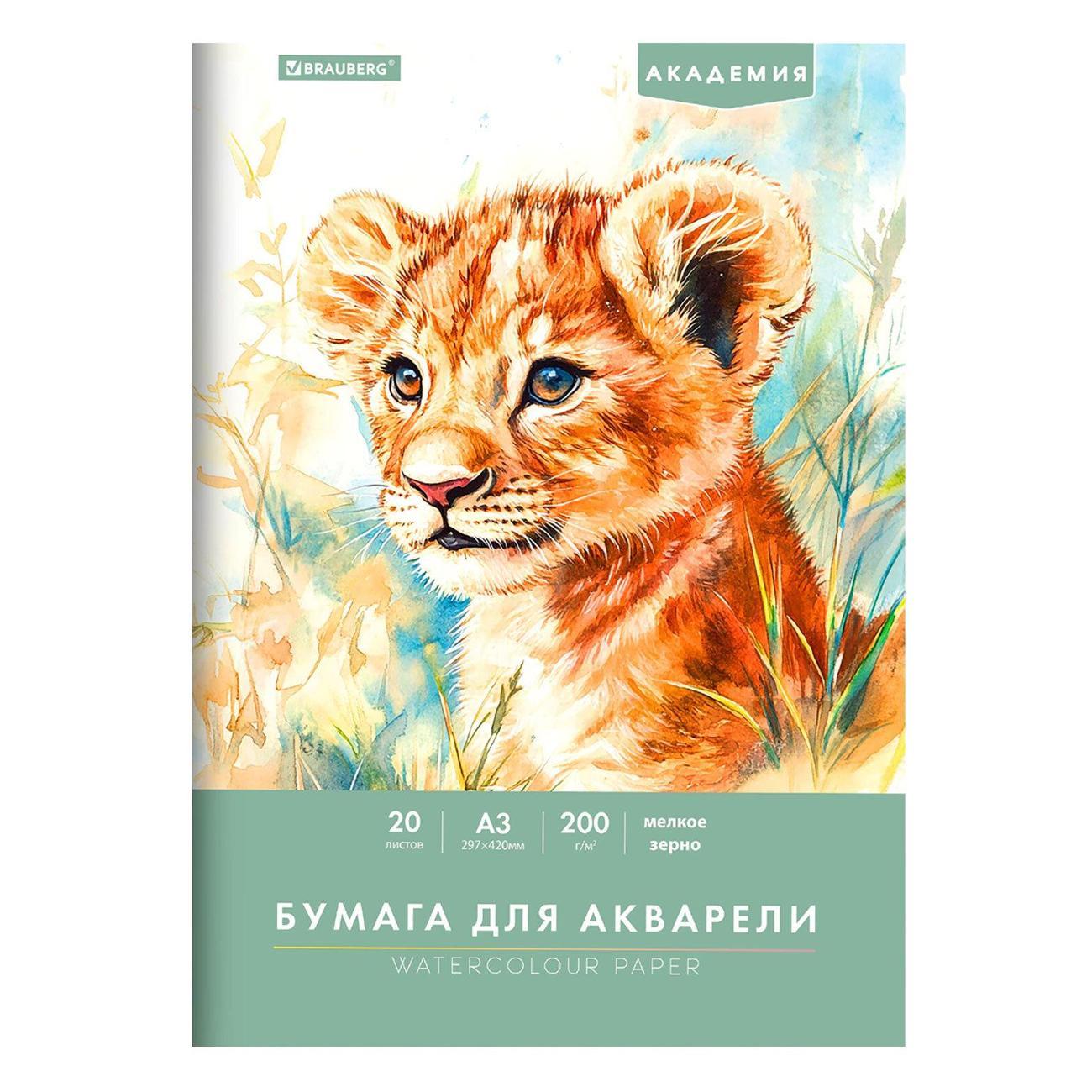 Бумага для рисования Brauberg 117745