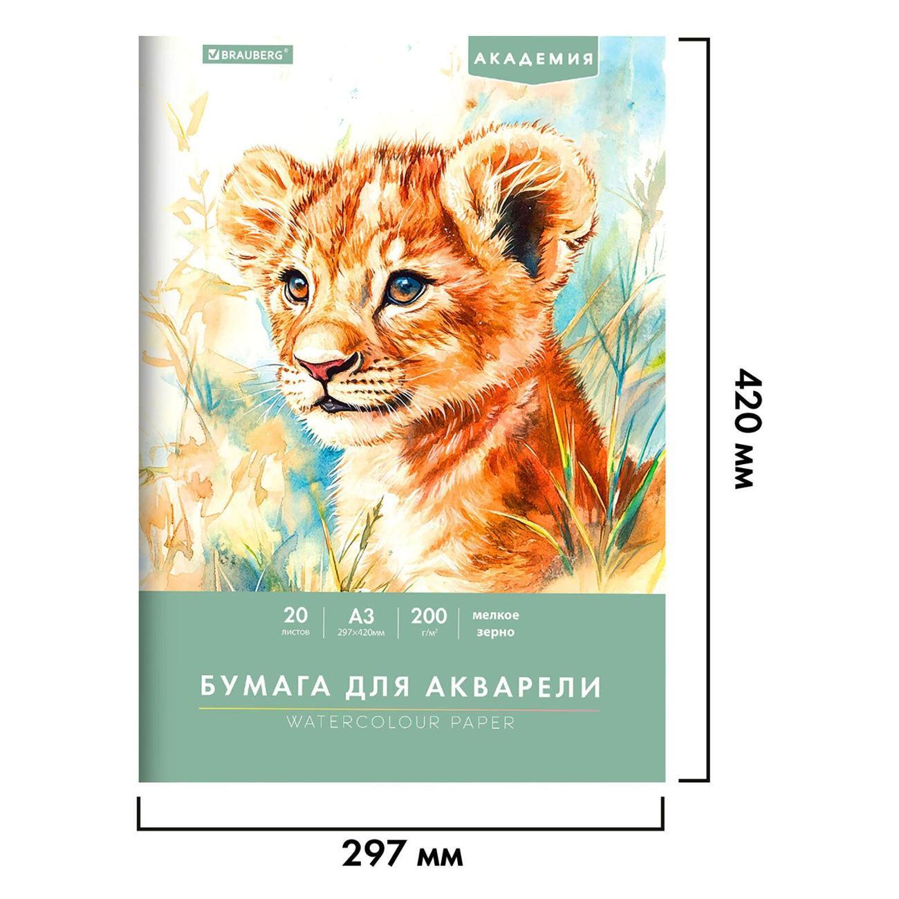 Бумага для рисования Brauberg 117745