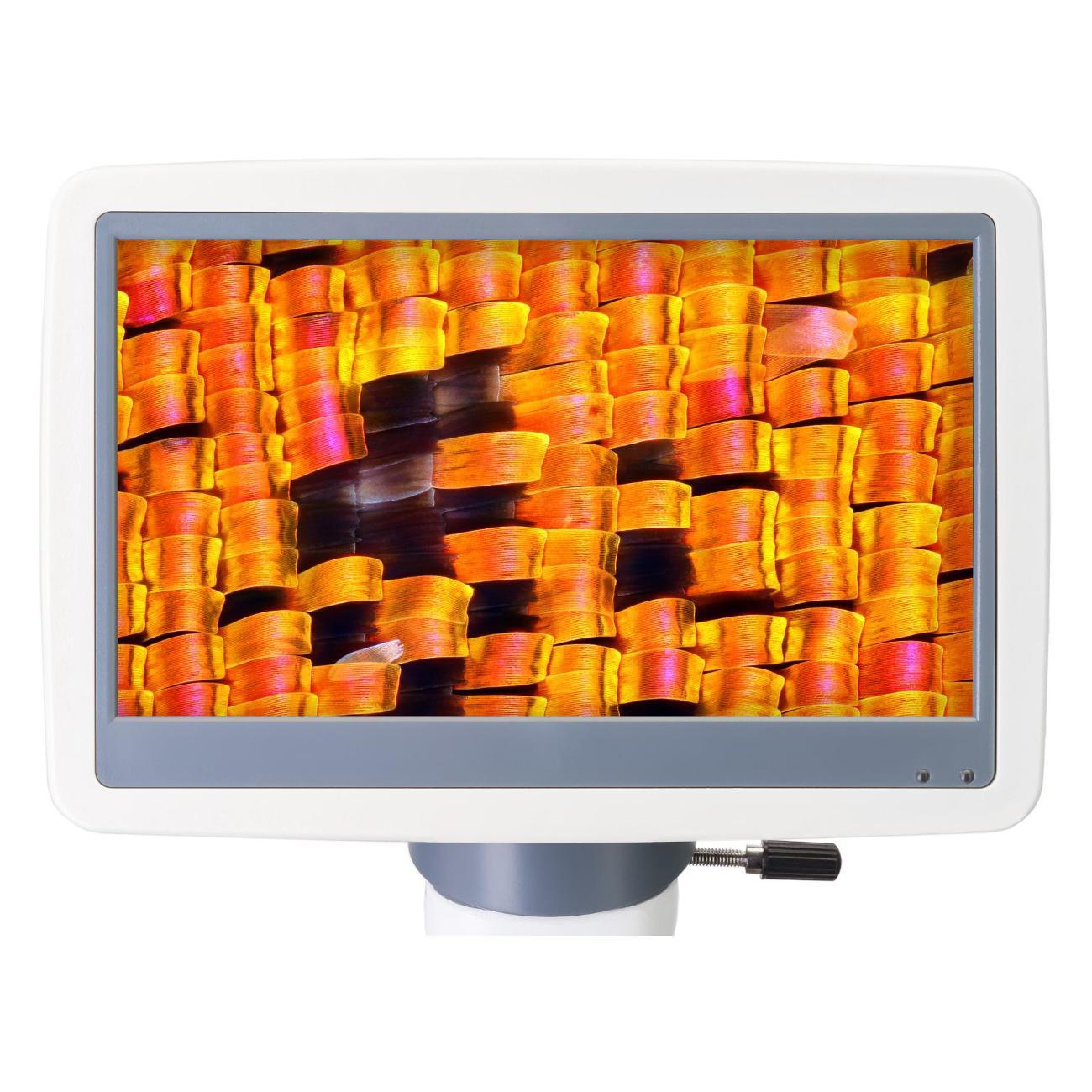 Микроскоп Levenhuk D95L LCD белый