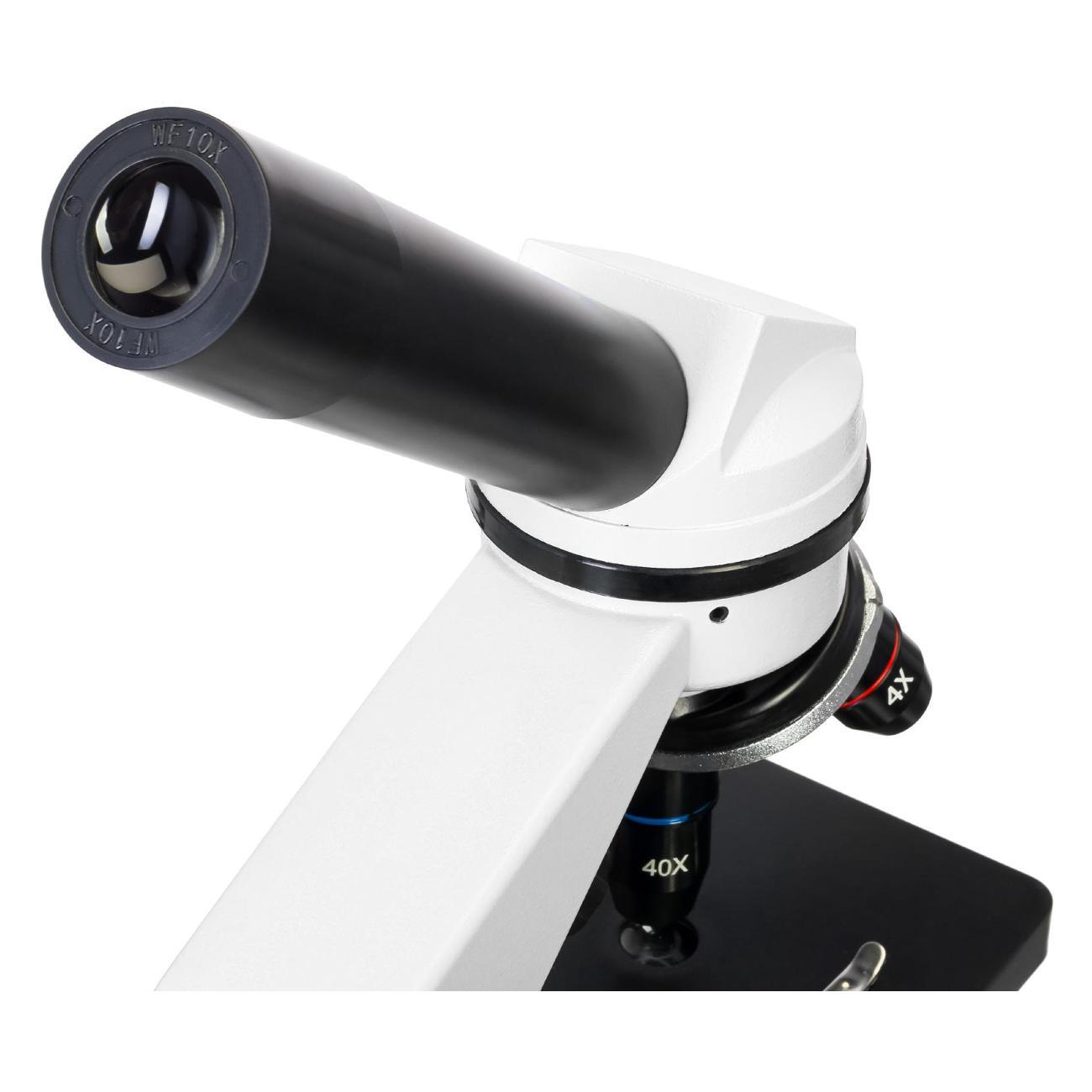 Микроскоп Levenhuk Rainbow D2L