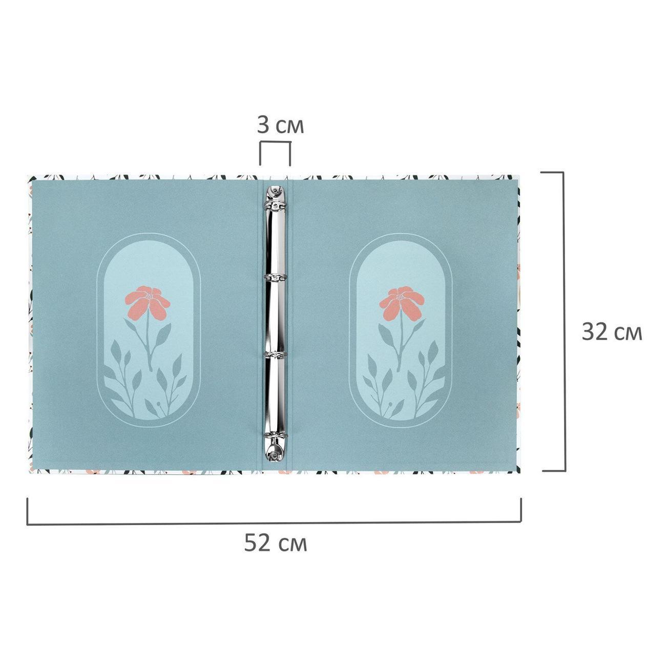 Папка Brauberg 117556