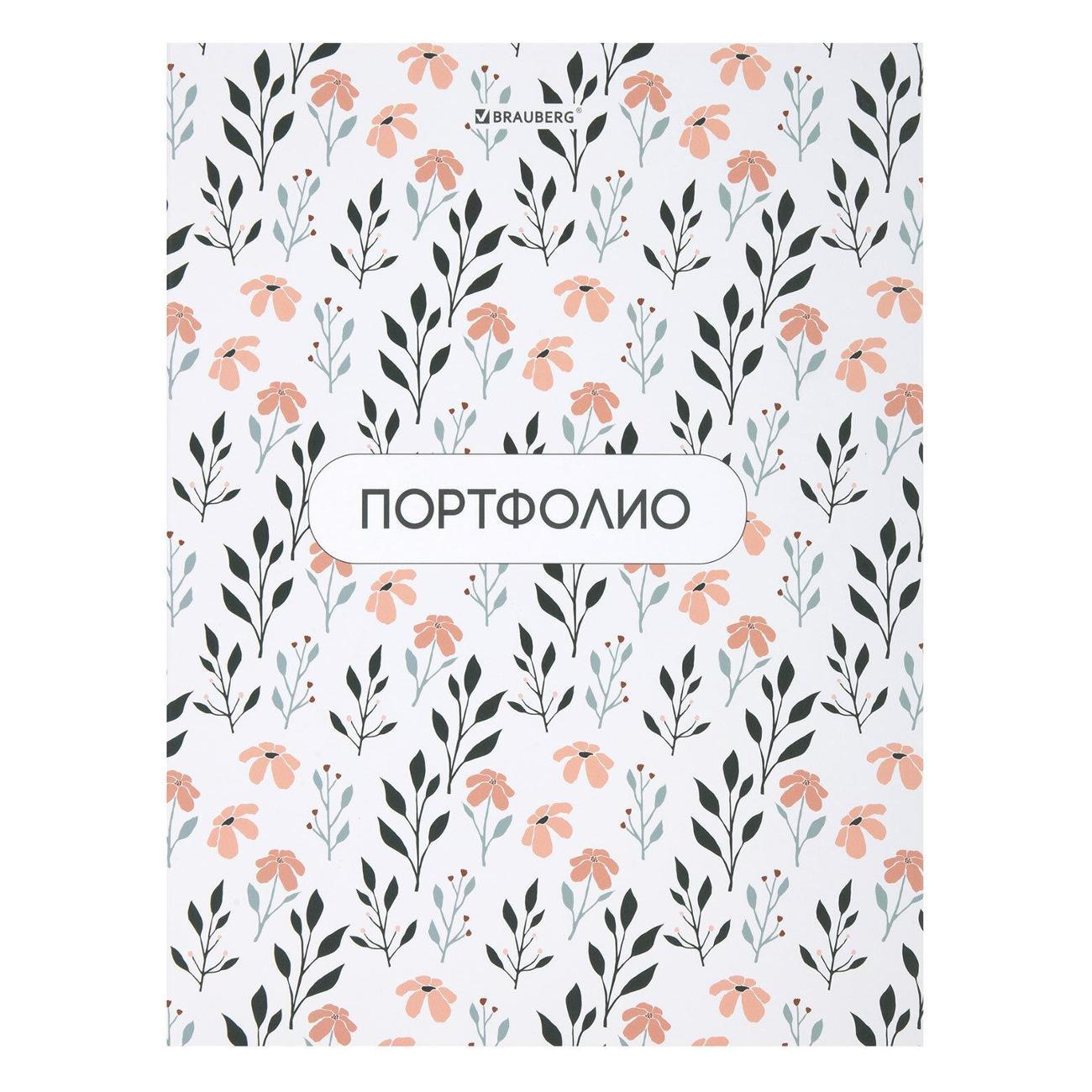 Папка Brauberg 117556